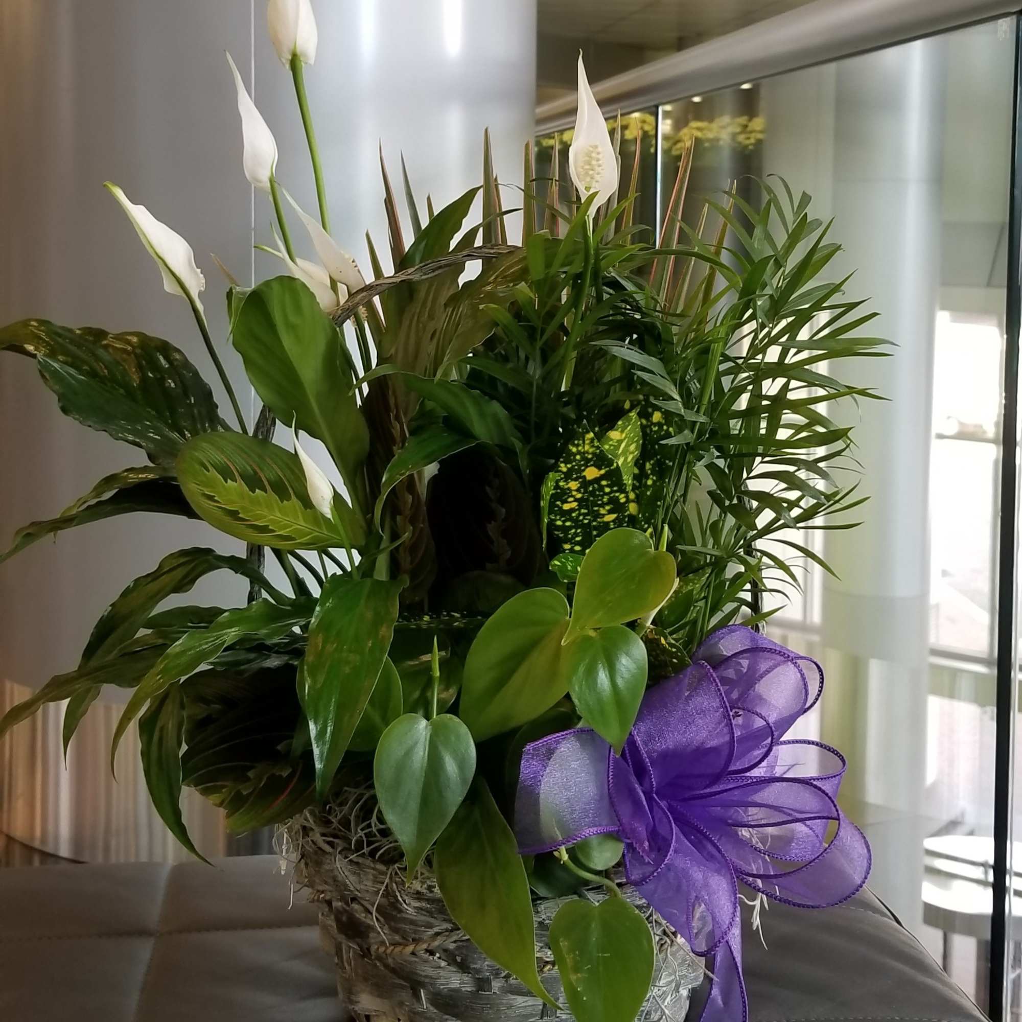 White peace lilies in a woven basket with a purple ribbon
