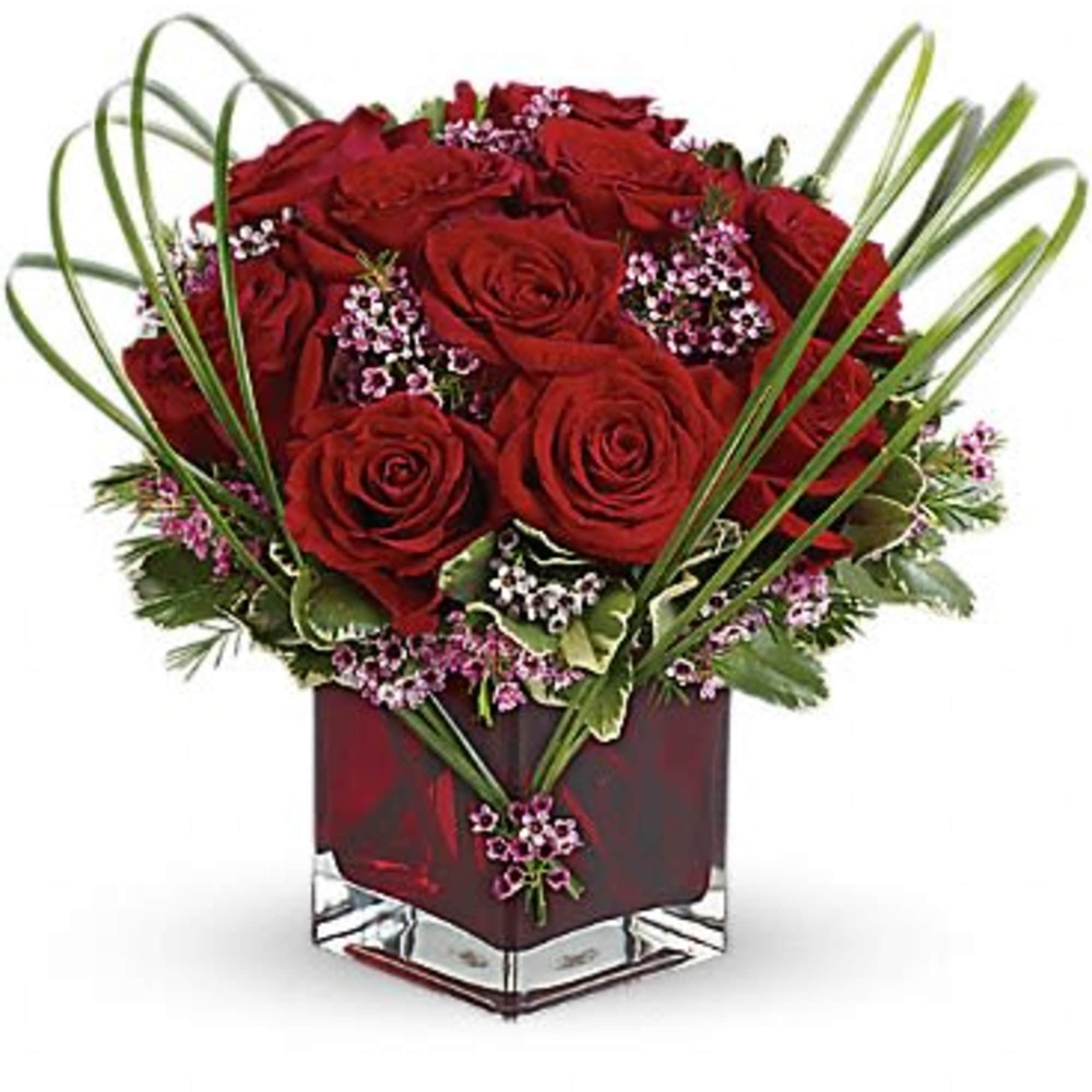 Red roses arranged in a square glass vase with looping greenery