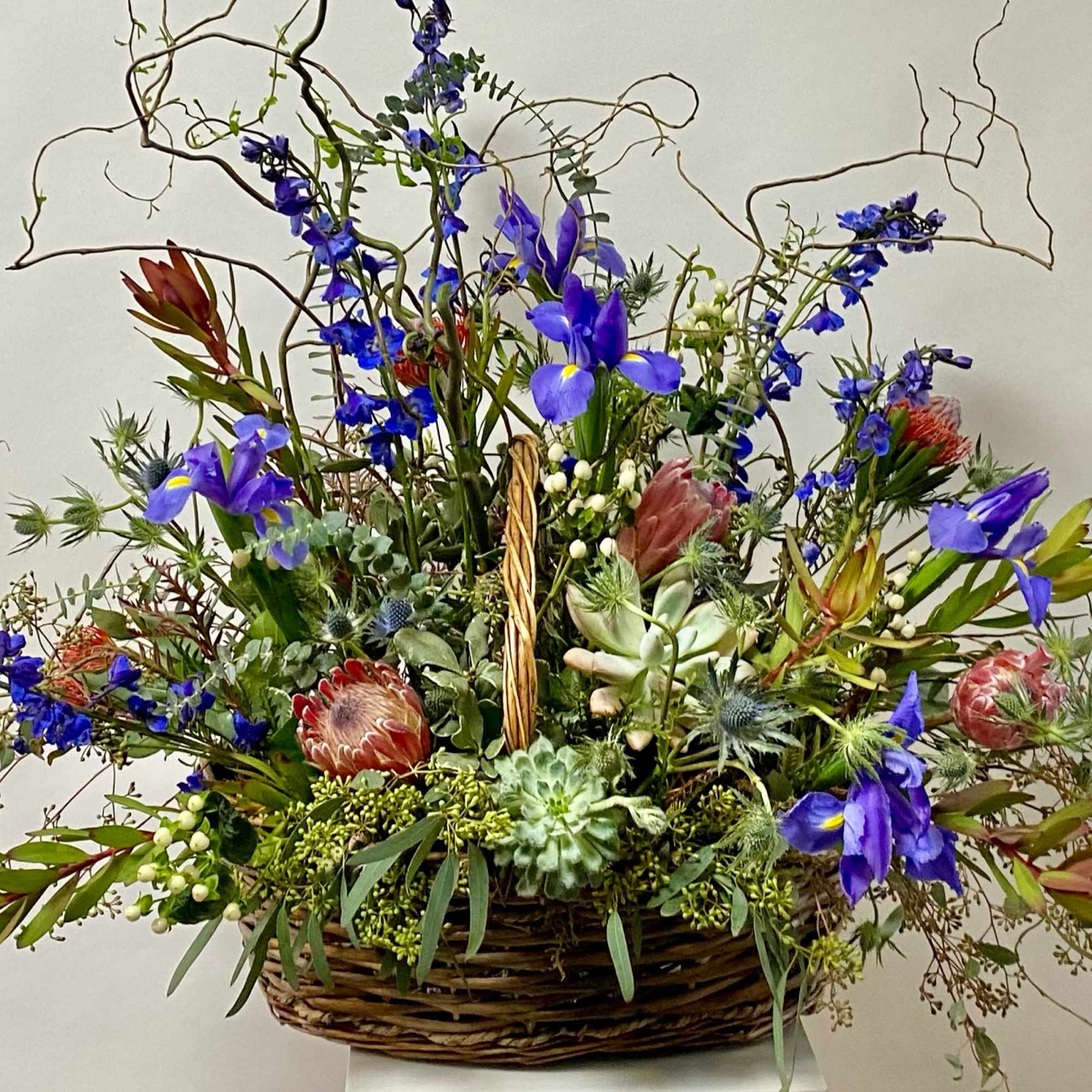 Basket arrangement with blue irises, protea, and succulents