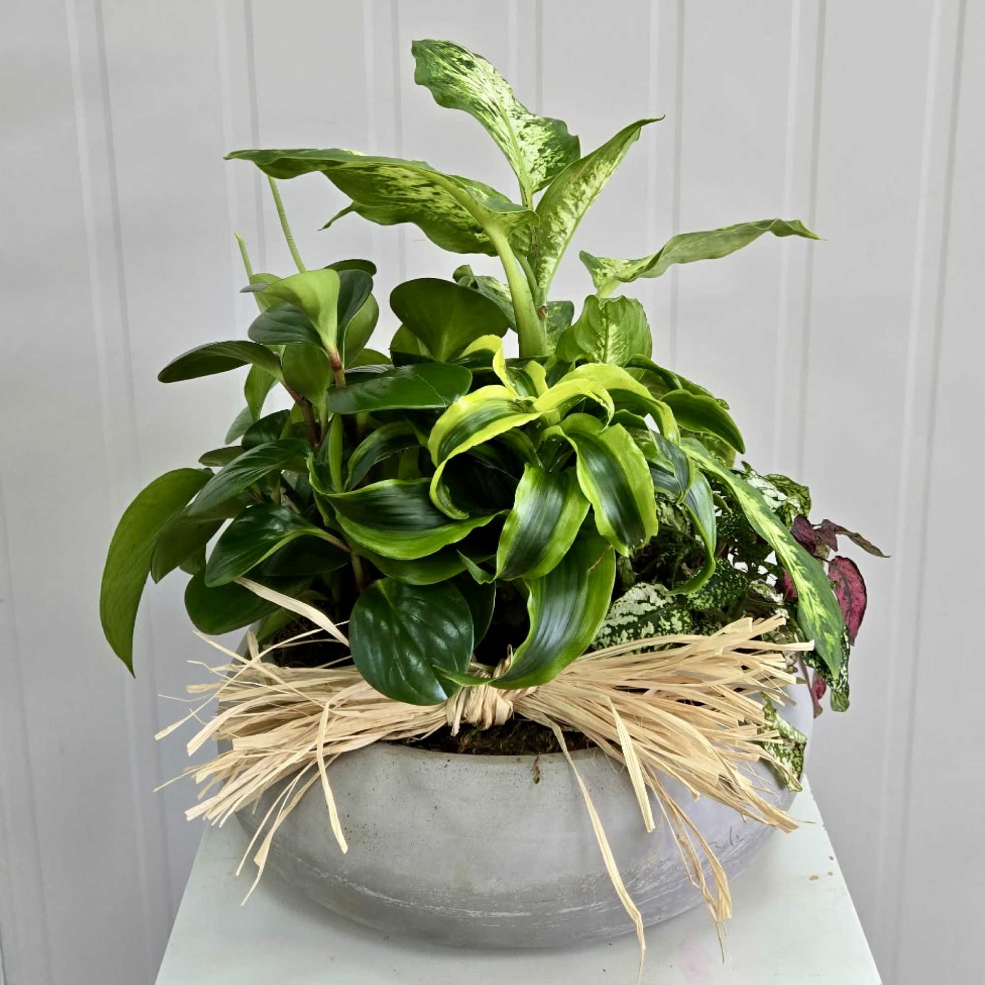 Mixed green potted plant arrangement in a gray bowl planter