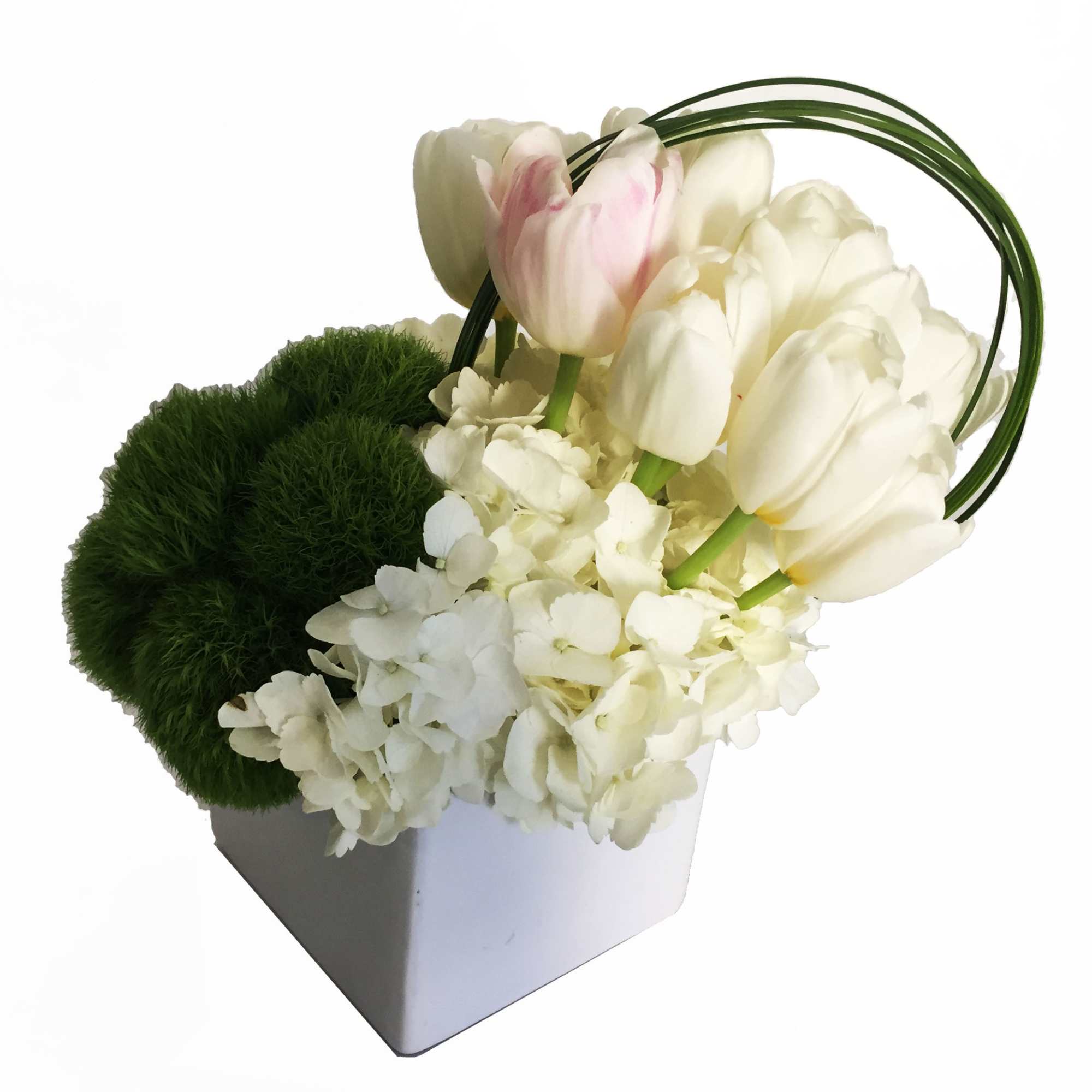 Simple and elegant arrangement. Perfect for all occasions.
Flowers may include Tulips, Hydrangeas, photo 2 of 2