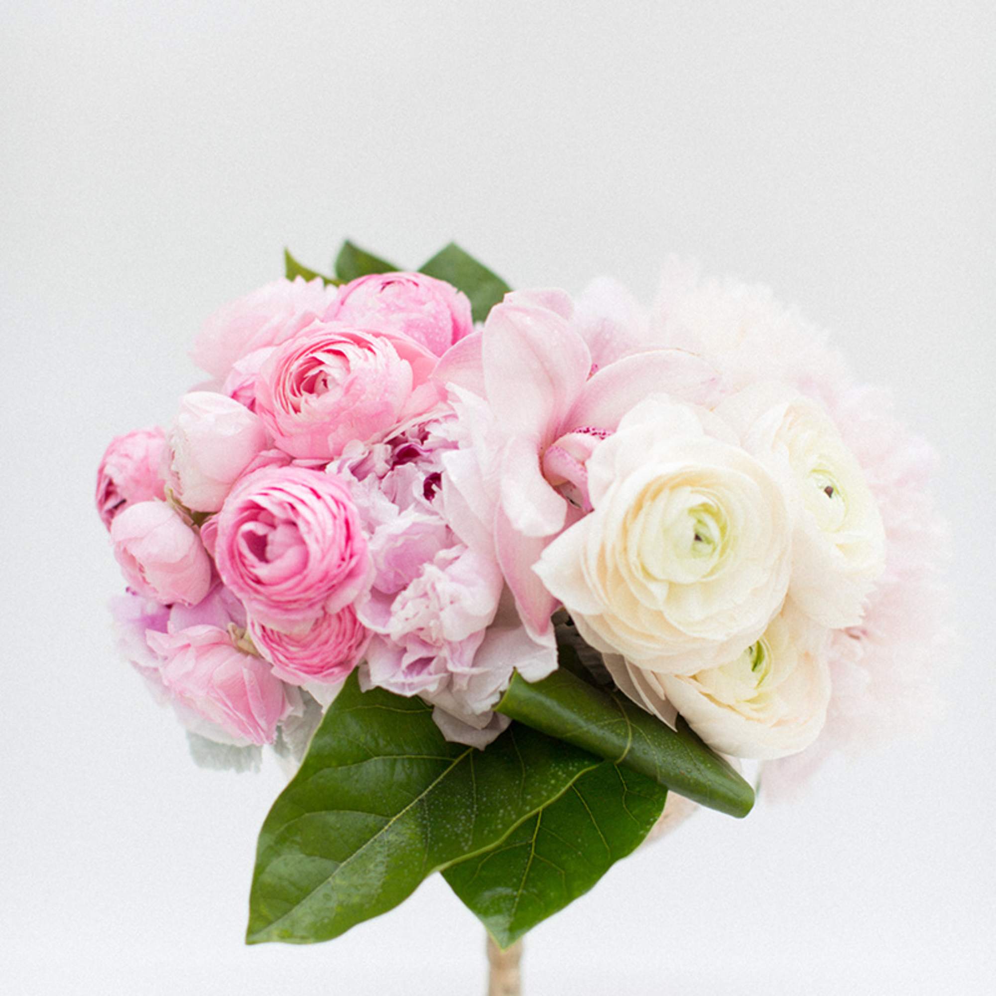 Pink and white ranunculus bouquet in a small vase