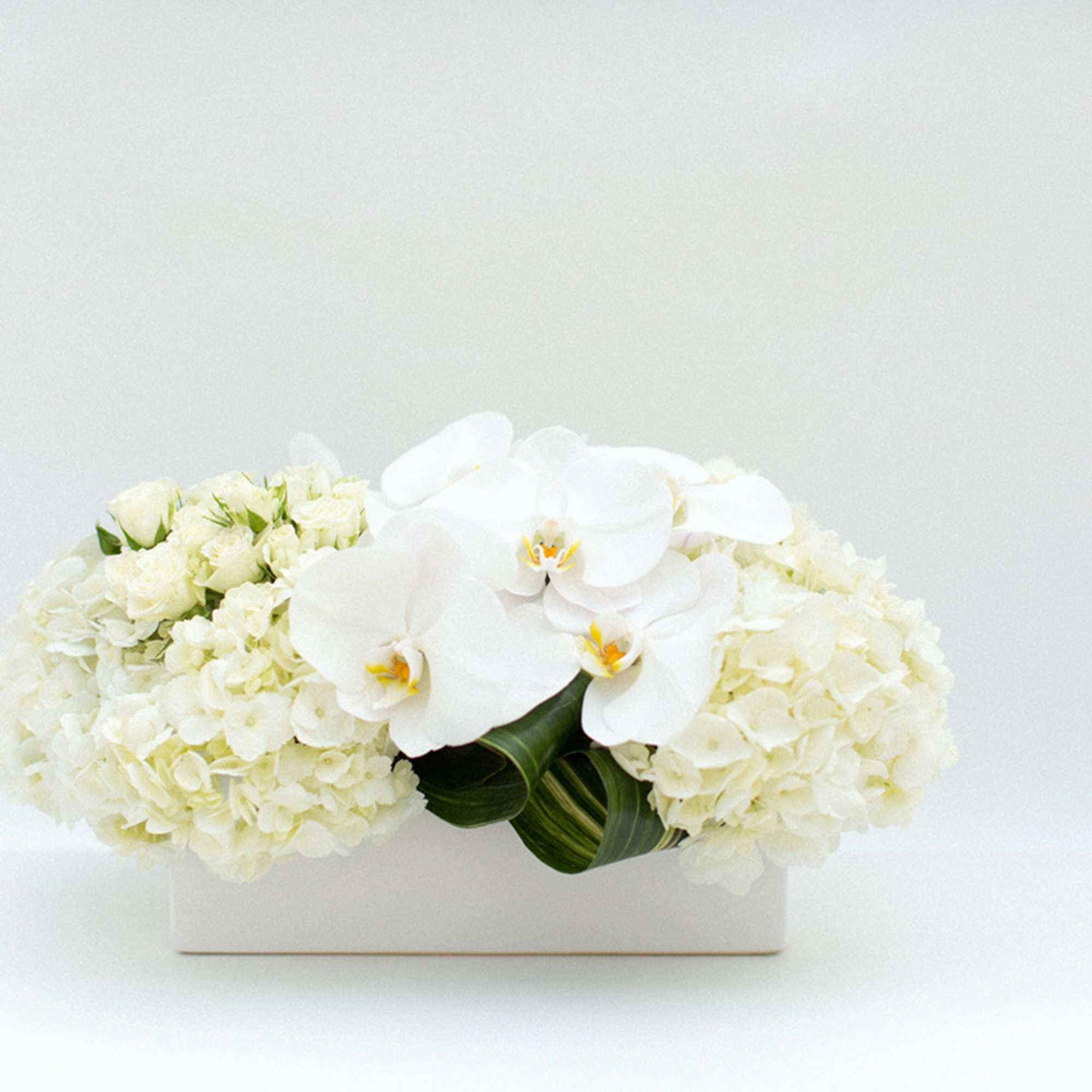 White orchid and hydrangea arrangement in a rectangular white vase