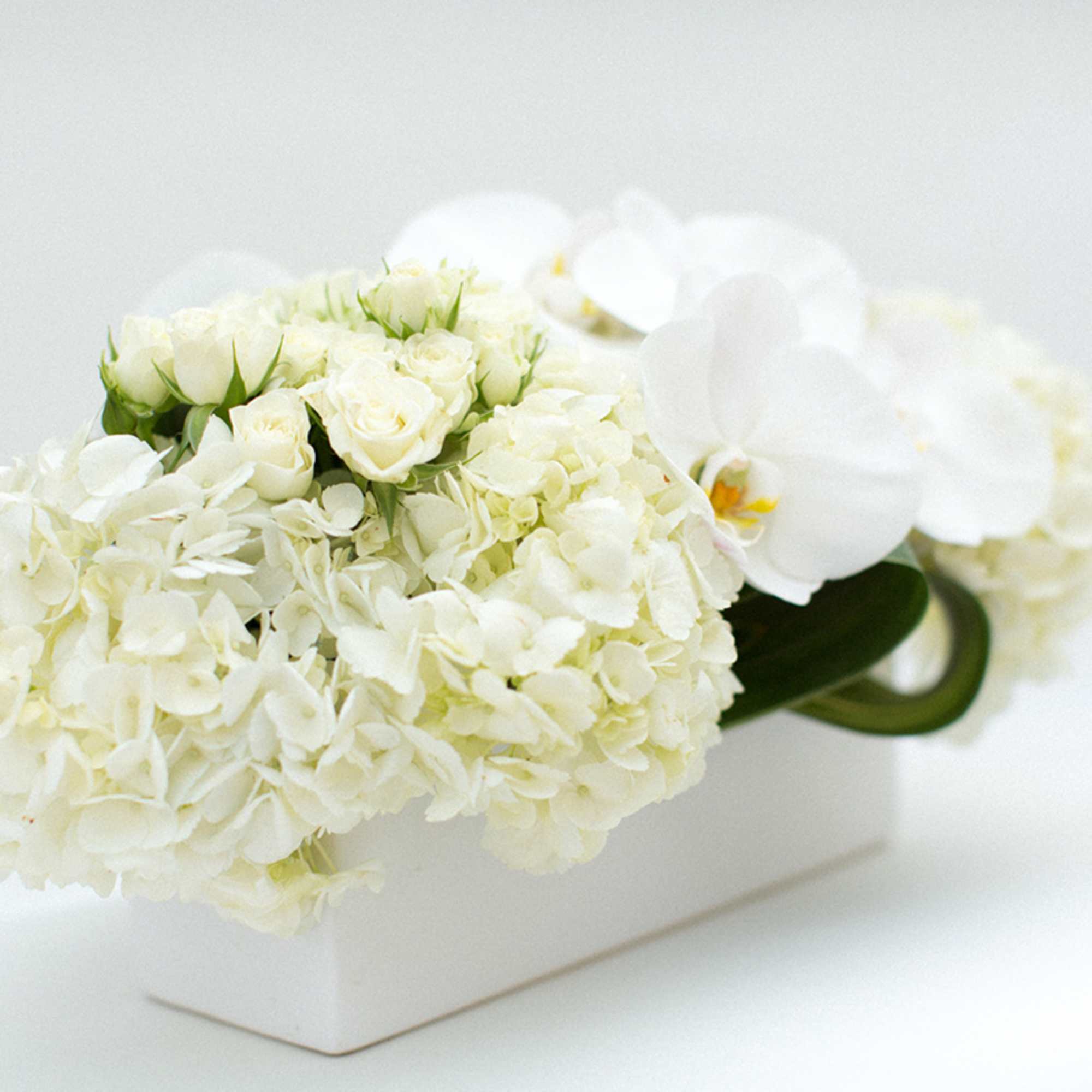 White floral arrangement in a white rectangular vase