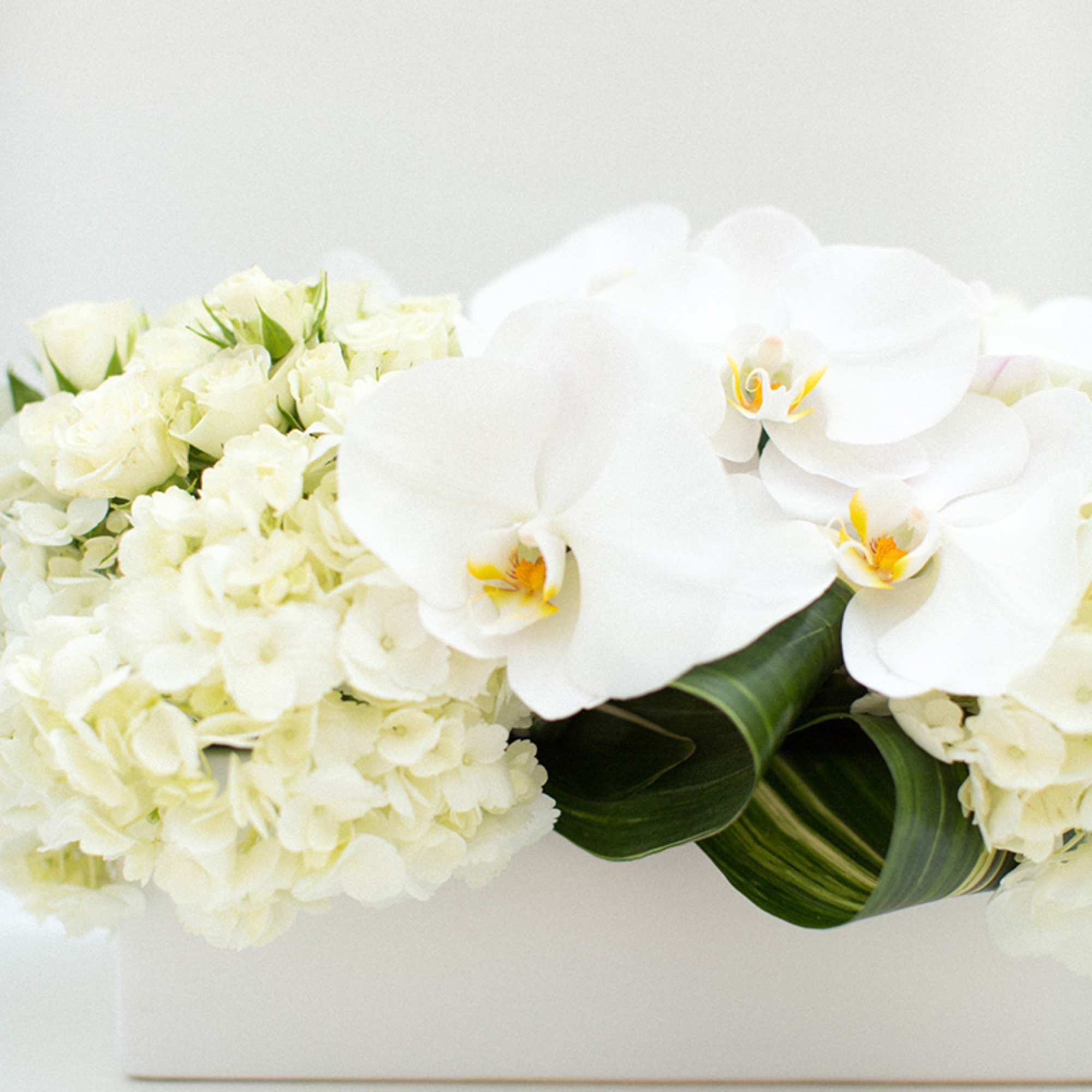 White orchids and pale hydrangeas arranged in a low box