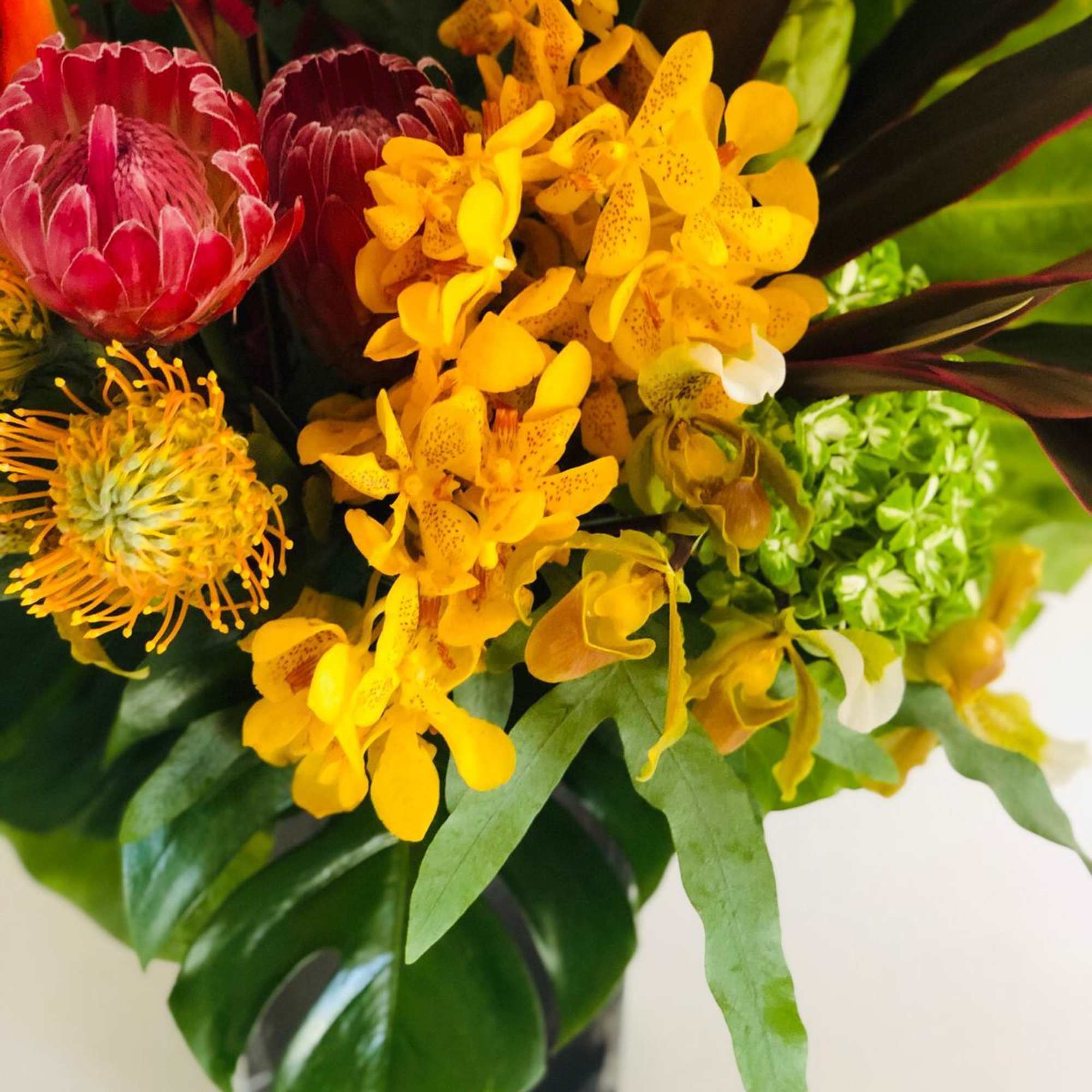 Tropical bouquet with yellow orchids and red protea in a vase