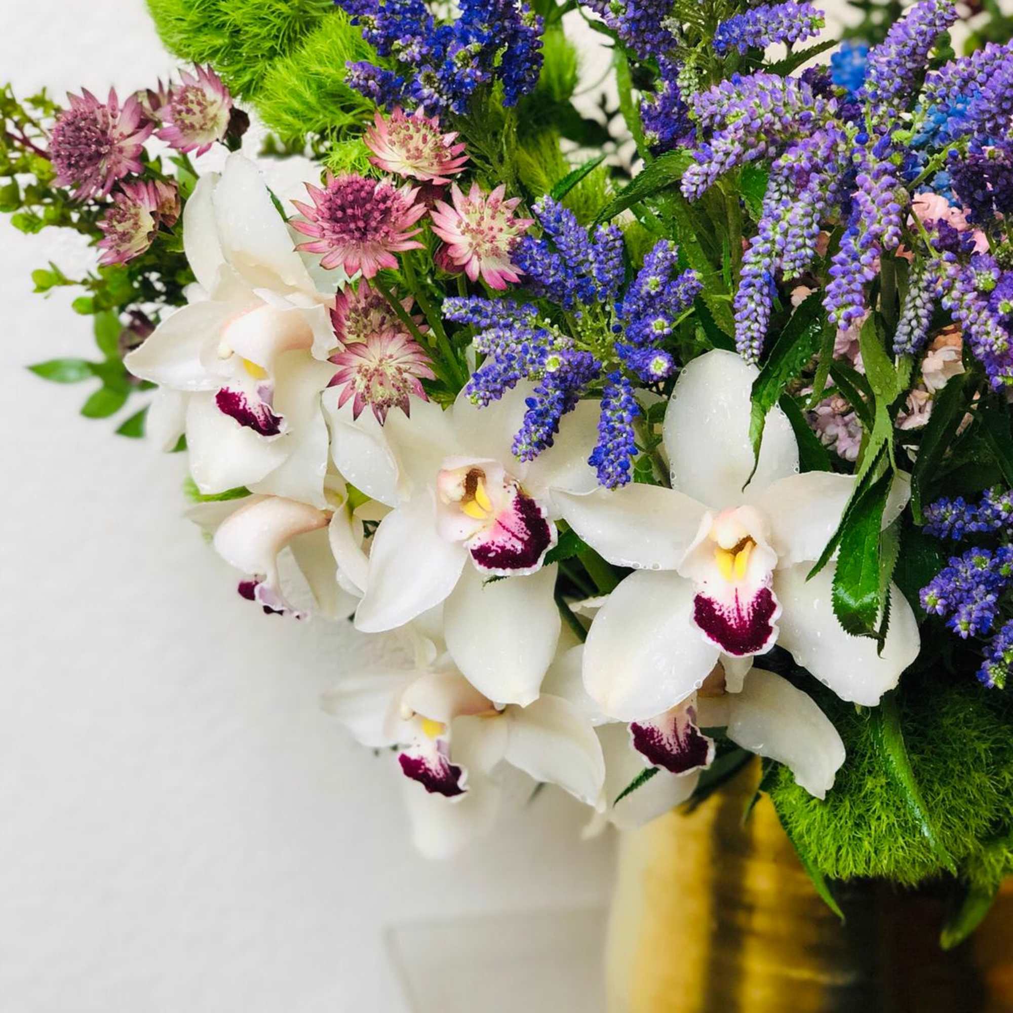 White orchids with purple and pink flowers in a gold vase