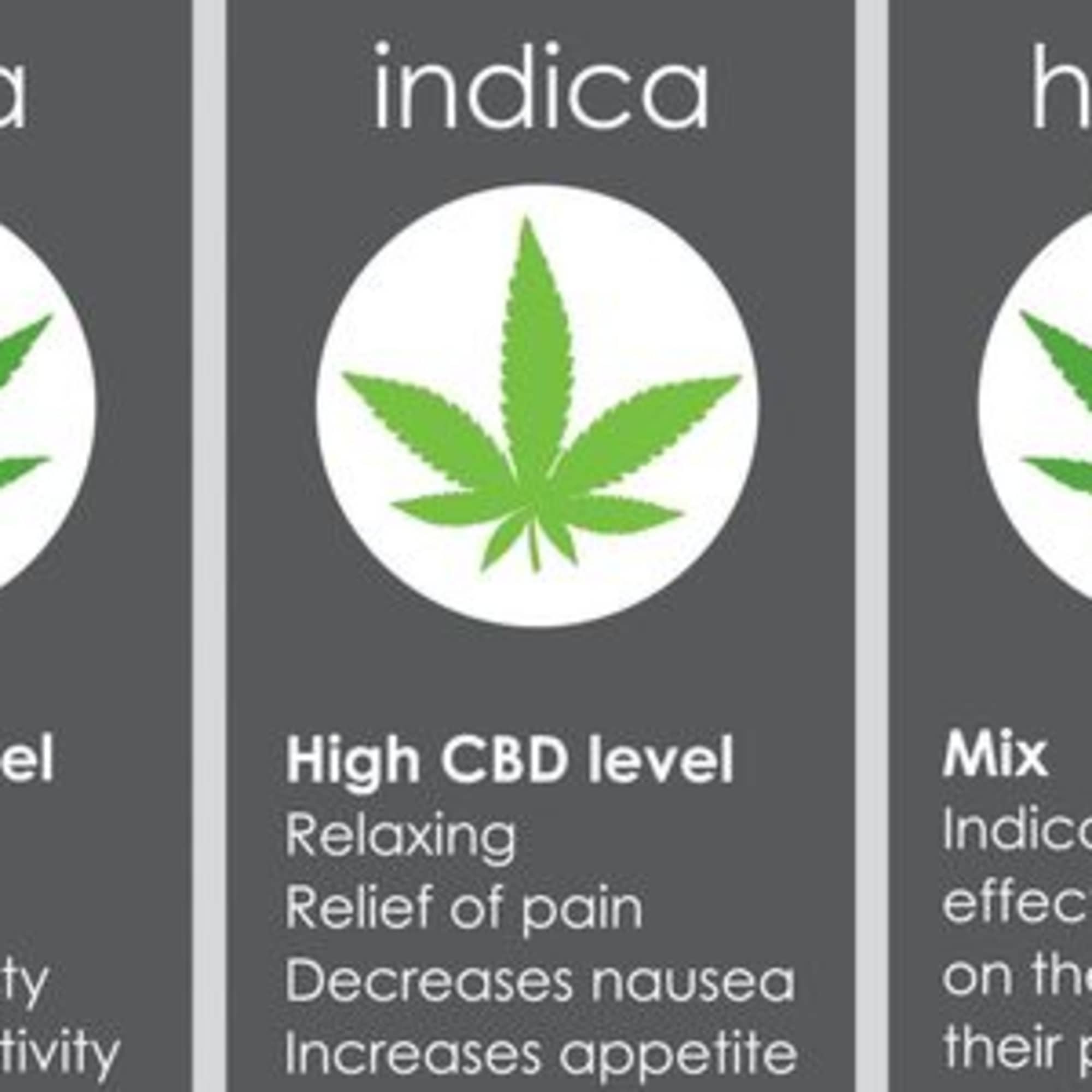 Graphic comparing sativa, indica, and hybrid cannabis types.