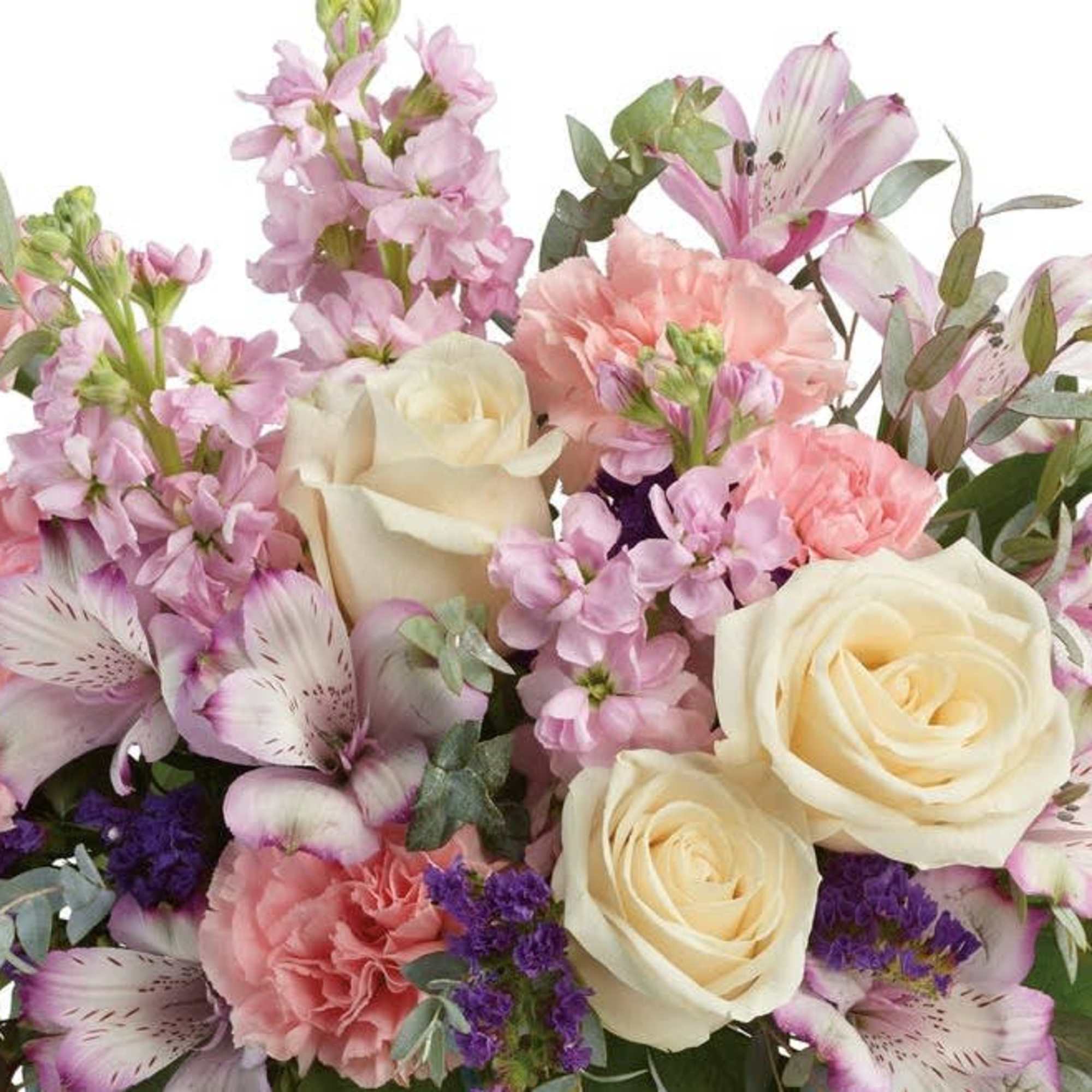 Bouquet of cream roses, pink flowers, and purple accents
