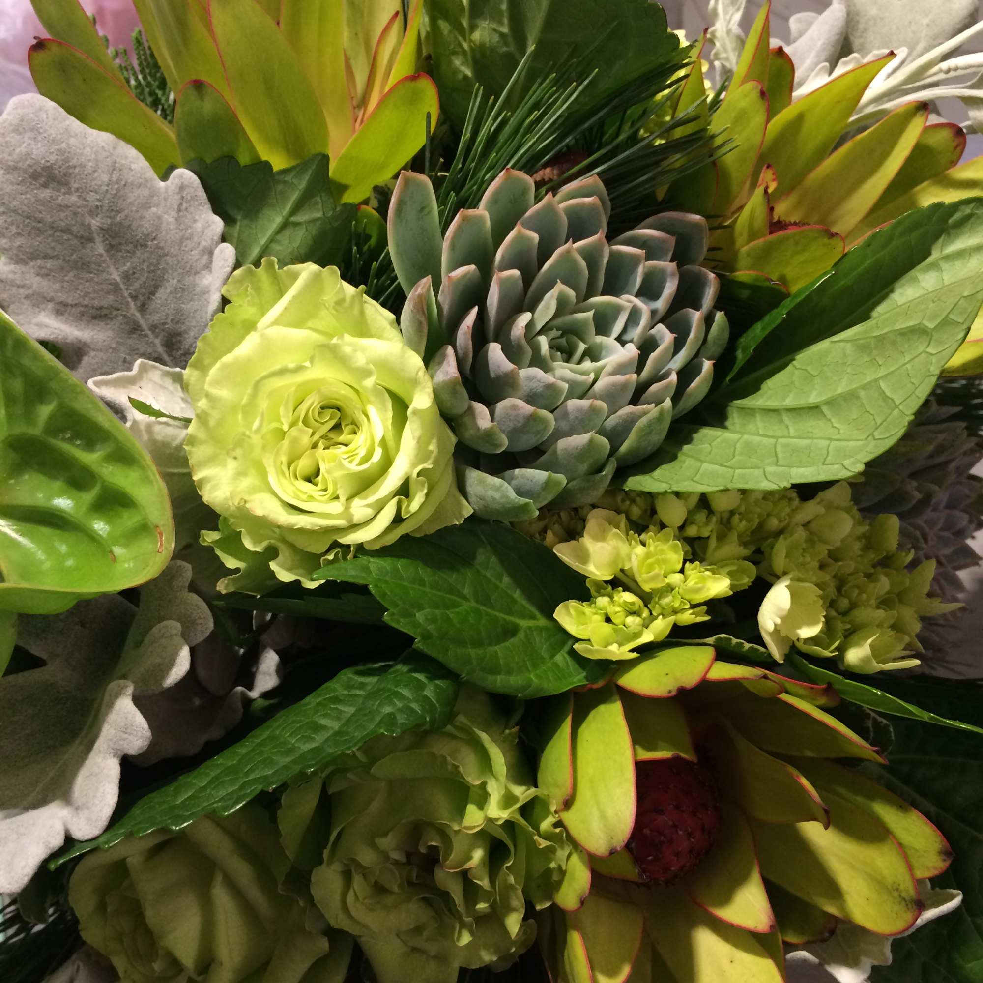 Green bouquet with a succulent, roses, and tropical leaves