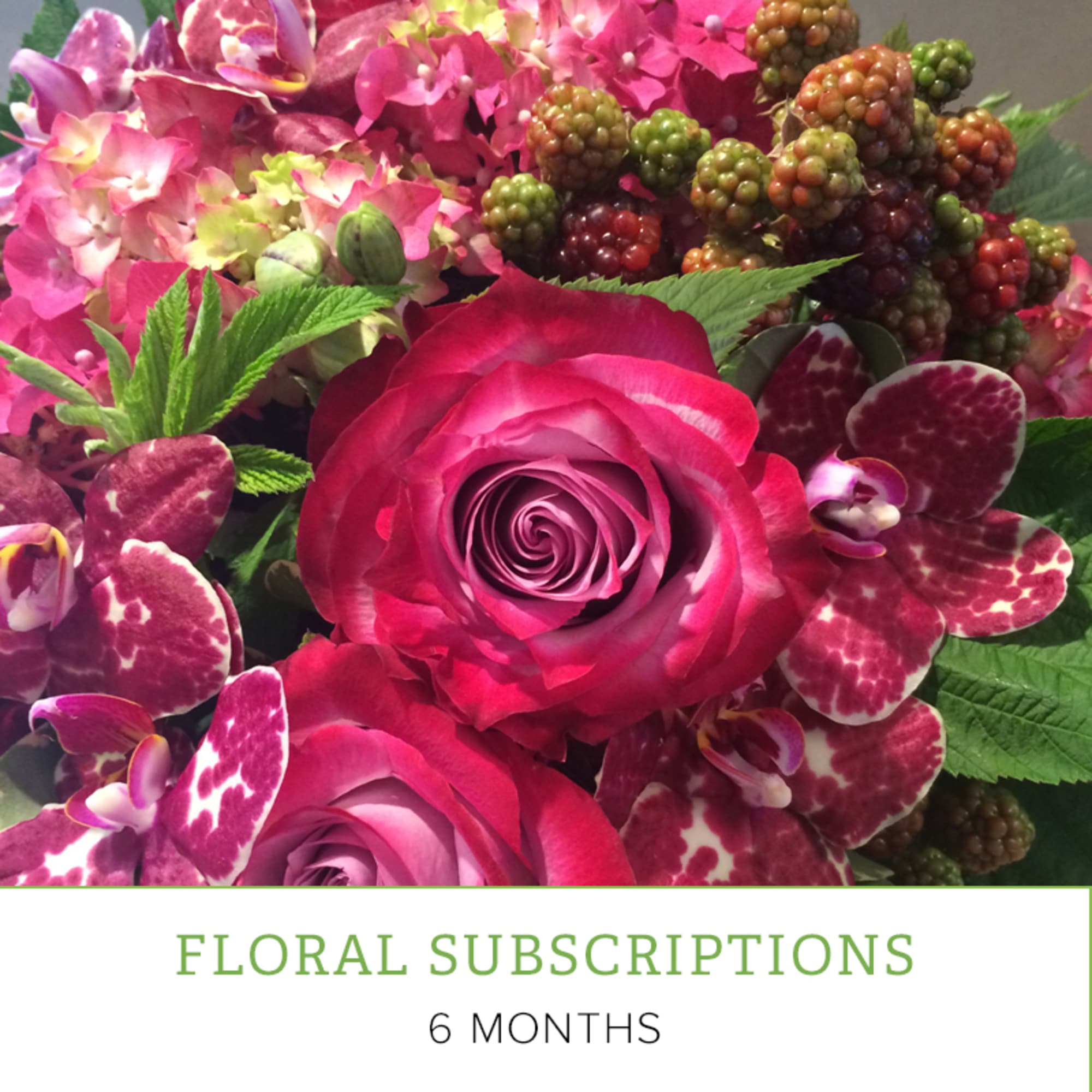 Pink roses and orchids with berry-like accents in a floral subscription graphic
