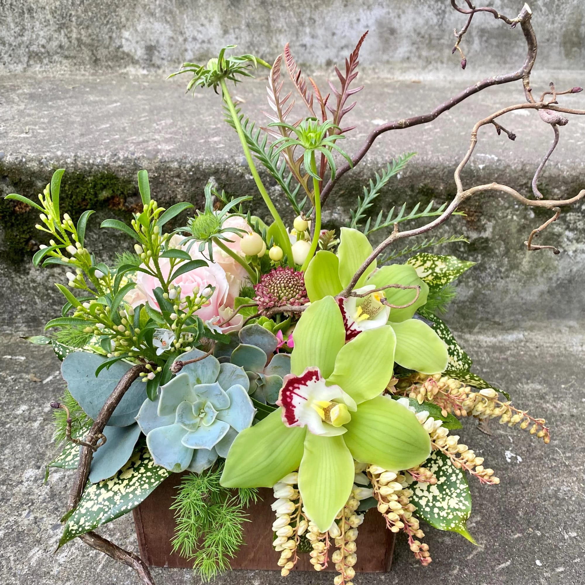 Low wooden box arrangement with green orchids, succulents, a pink rose, and trailing cream flowers