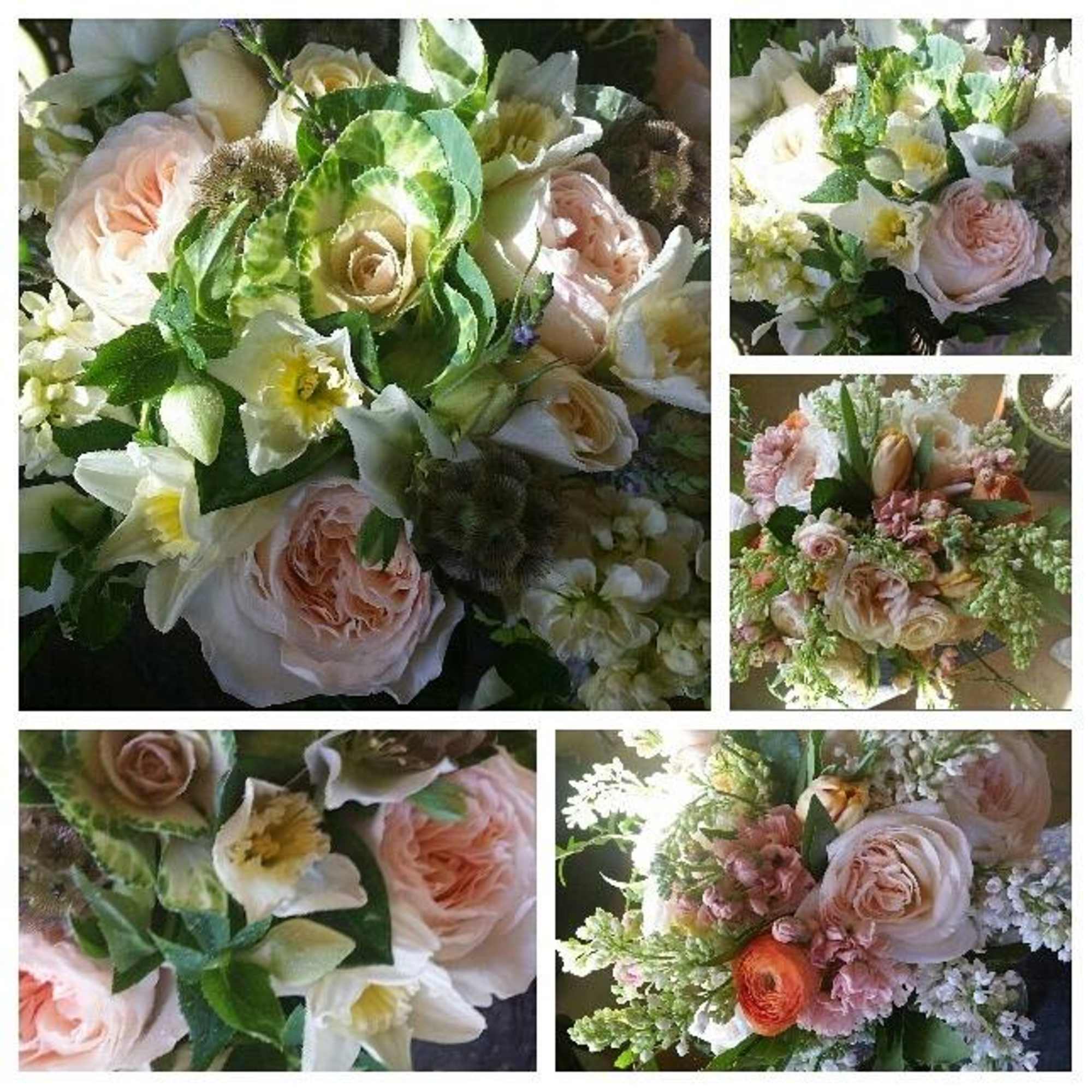 Elevate your special day with flowers ready for any beach, park, backyard, photo 3 of 7
