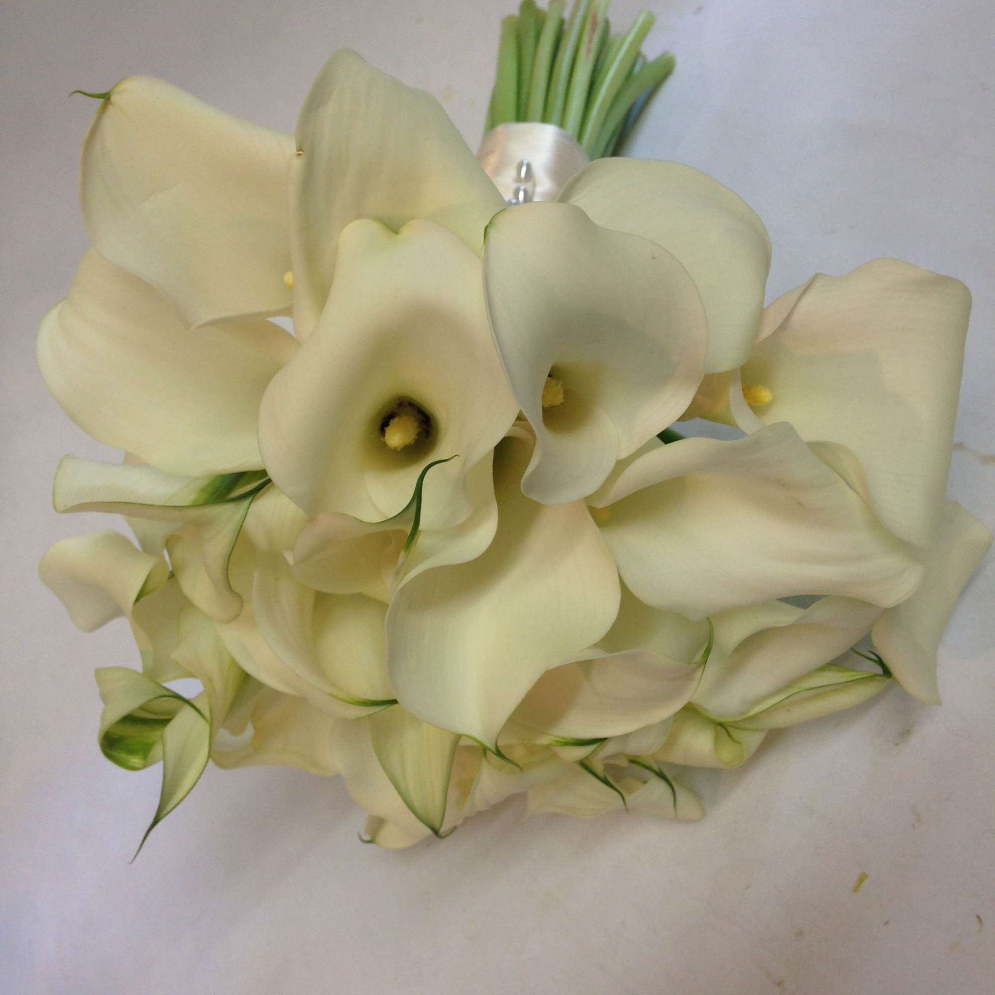 Bouquet of white calla lilies with green stems