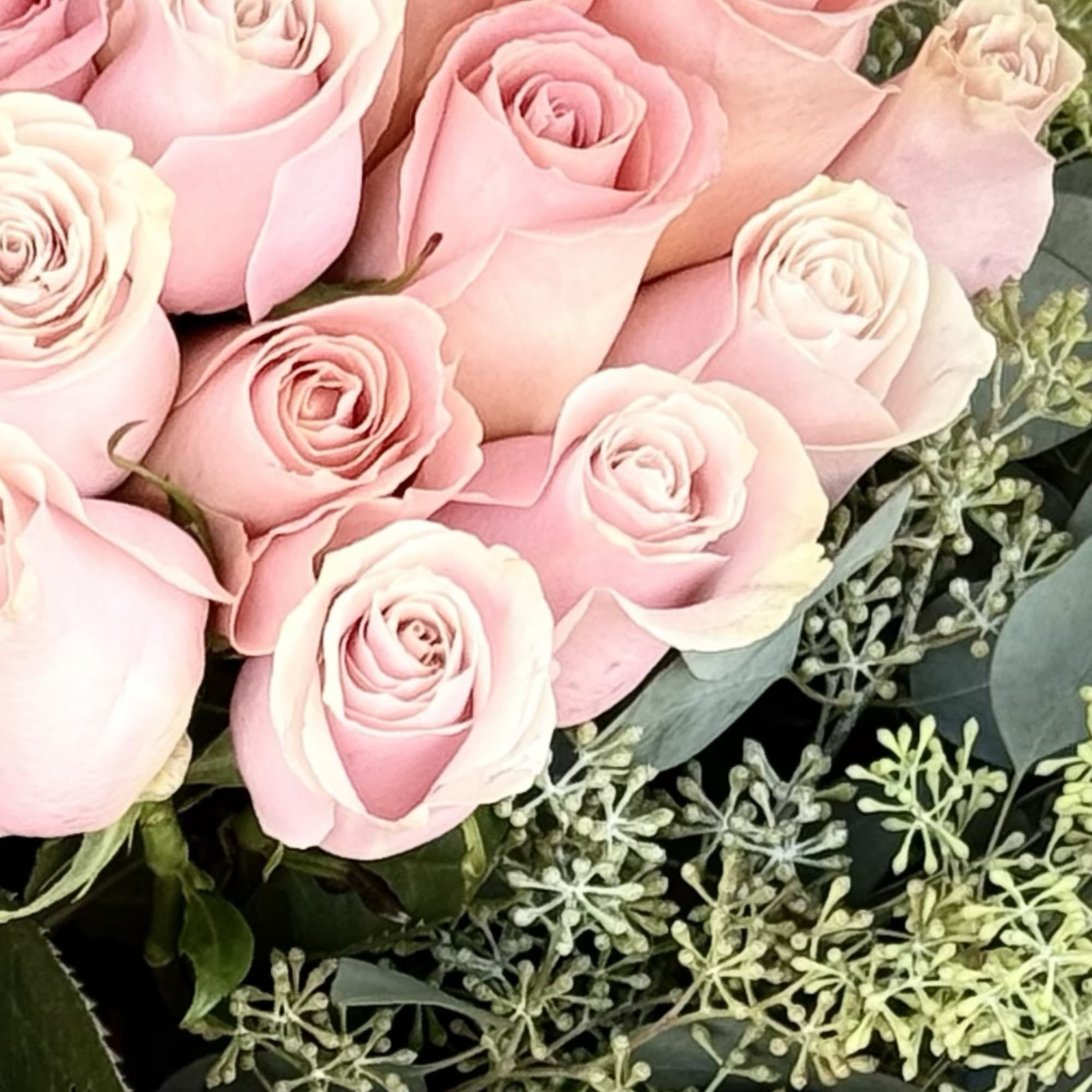 Bouquet of pale pink and white roses with pink wrapping