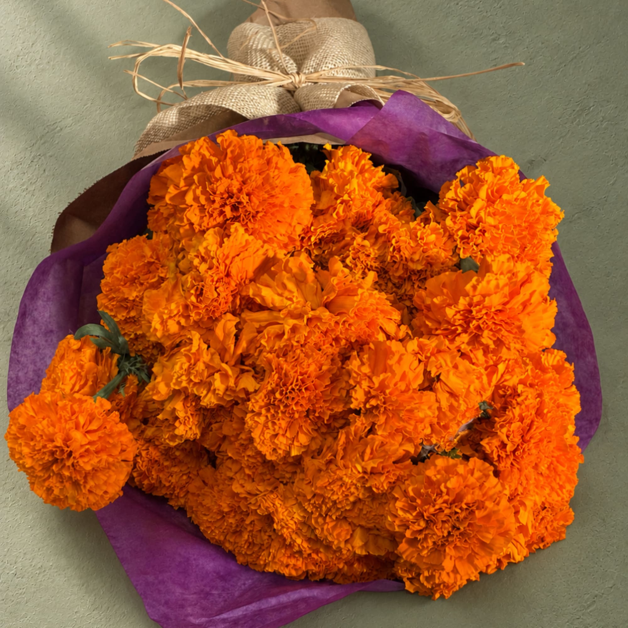 Bouquet of bright orange marigolds wrapped in purple paper