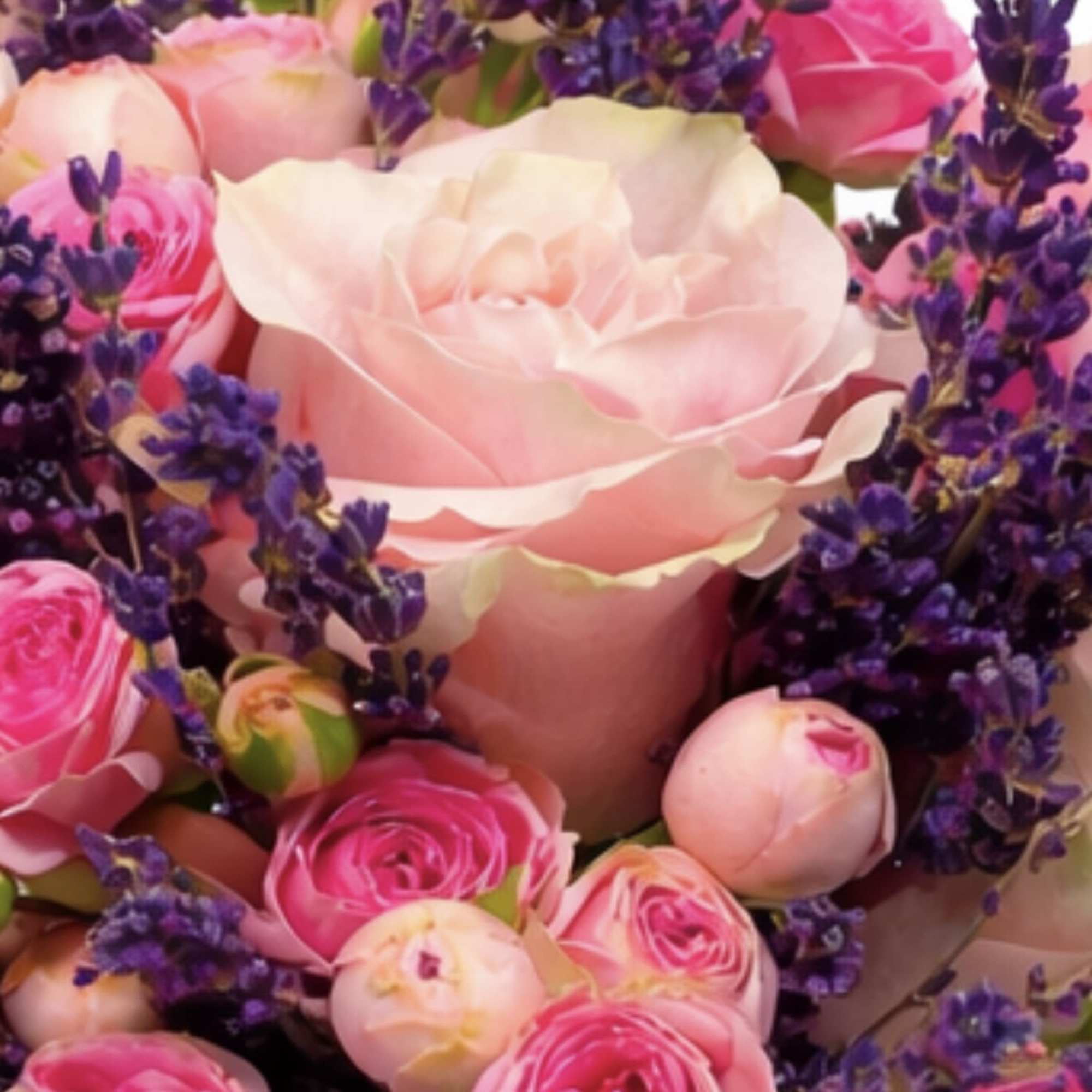 Pink roses and lavender flowers in a bouquet