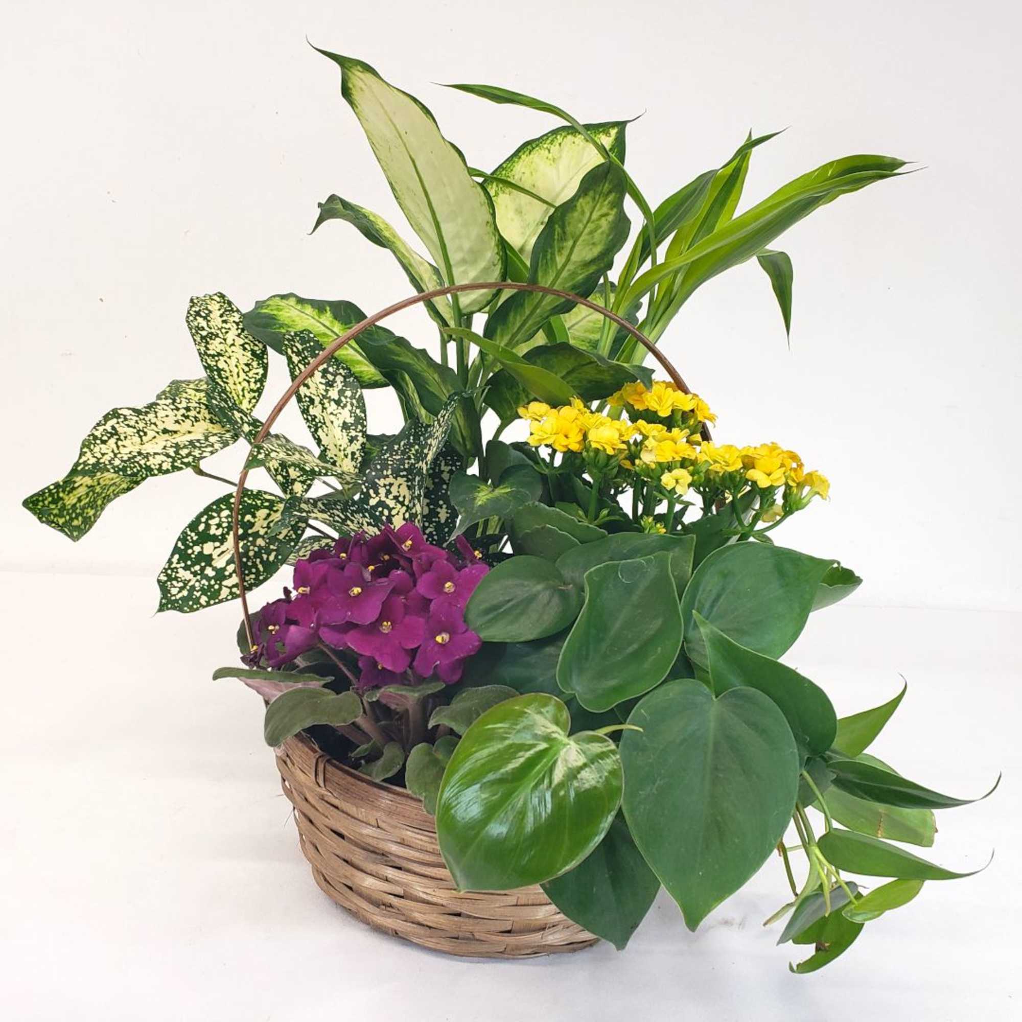 Mixed potted plants and small yellow and purple flowers in a wicker basket