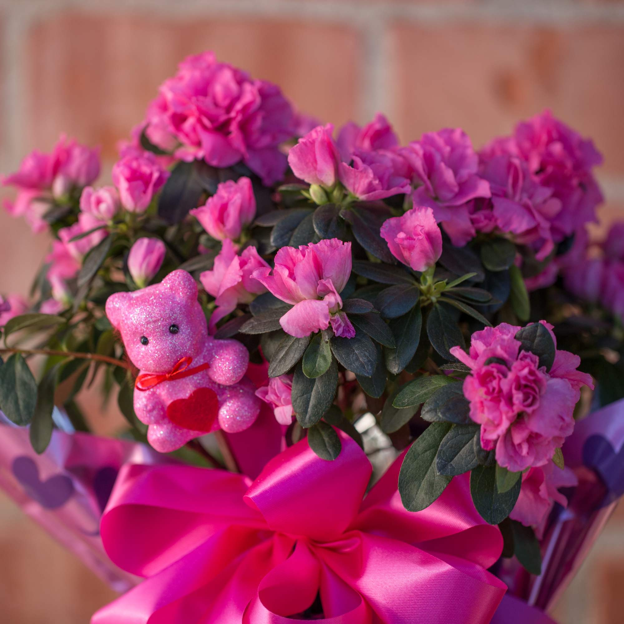 Pink flowering plant with a small glitter teddy bear and a bright ribbon