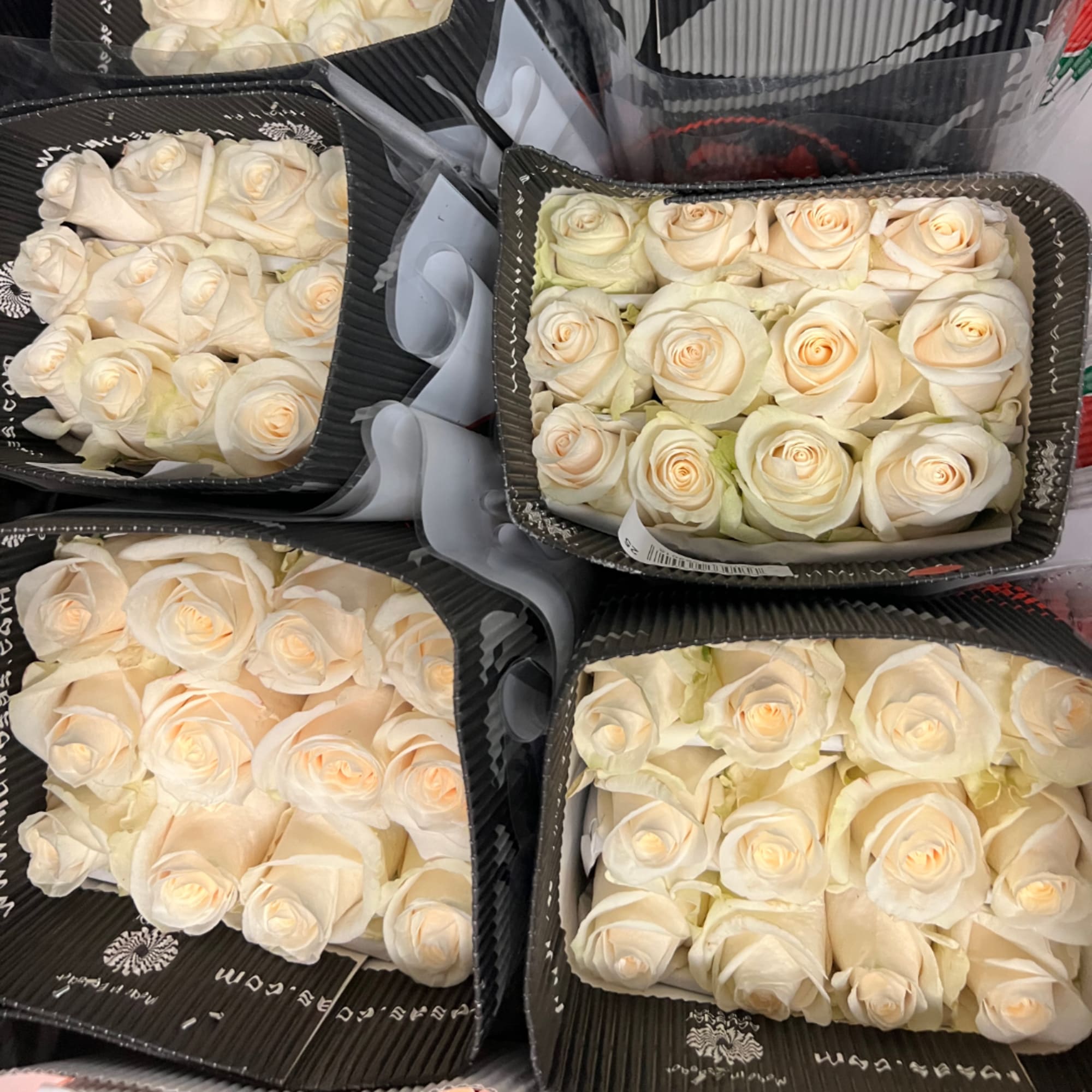 Boxes of cream-colored roses arranged in black wrapping