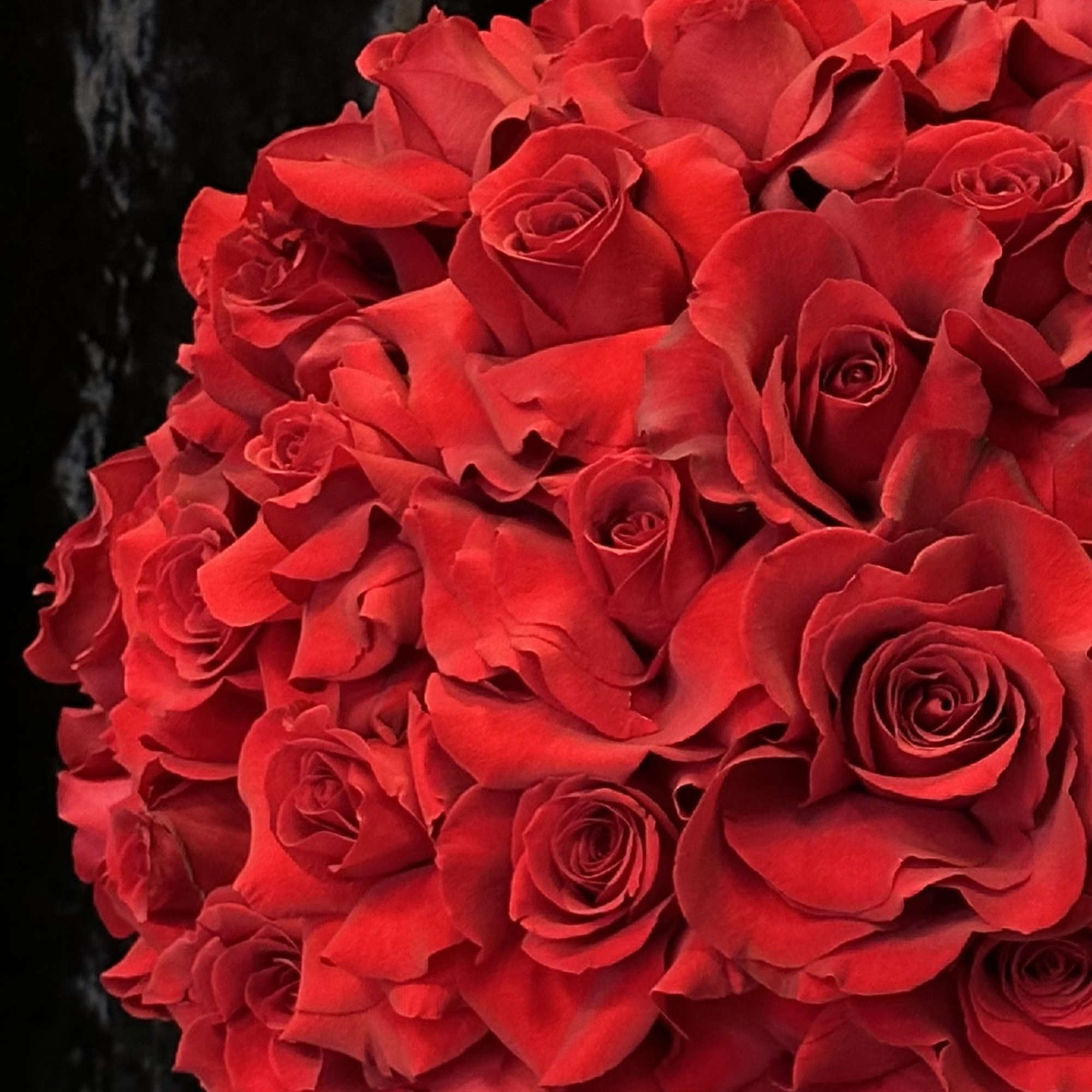 Large bouquet of red roses in a dark vase