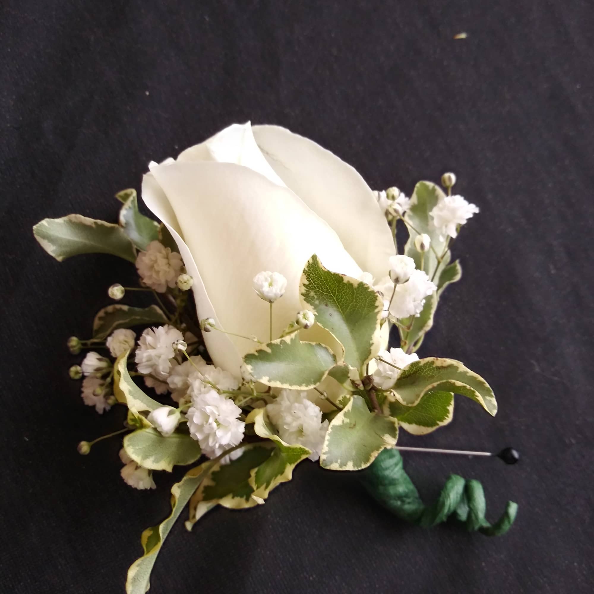 White rose boutonniere with baby's breath and variegated leaves
