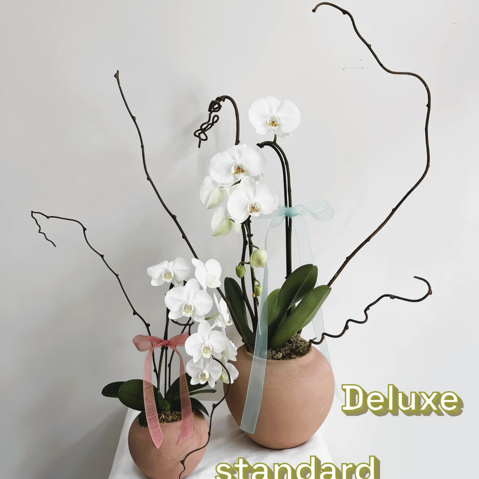 Cascading white Phalaenopsis orchids bring quiet elegance to any room - a, photo 2 of 2
