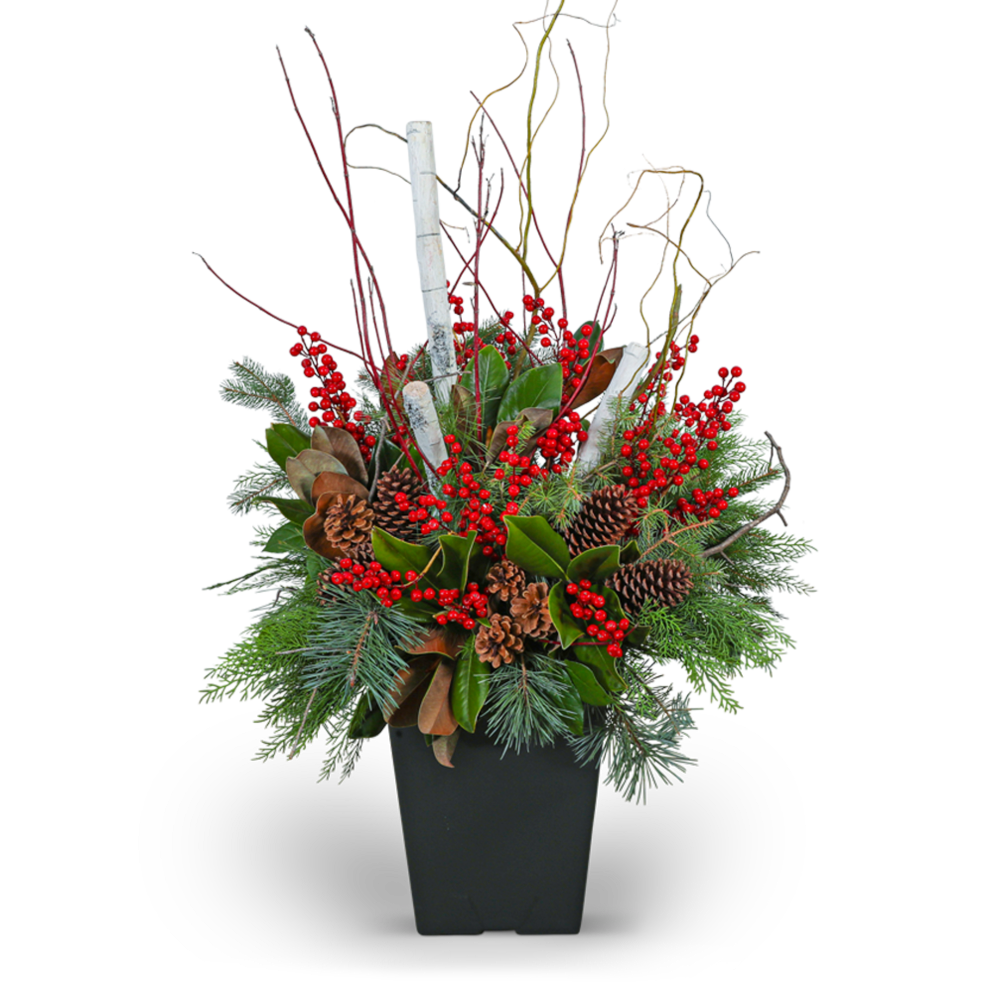 Elevate your outdoor decor with our Winter Porch Pot, brimming with evergreen