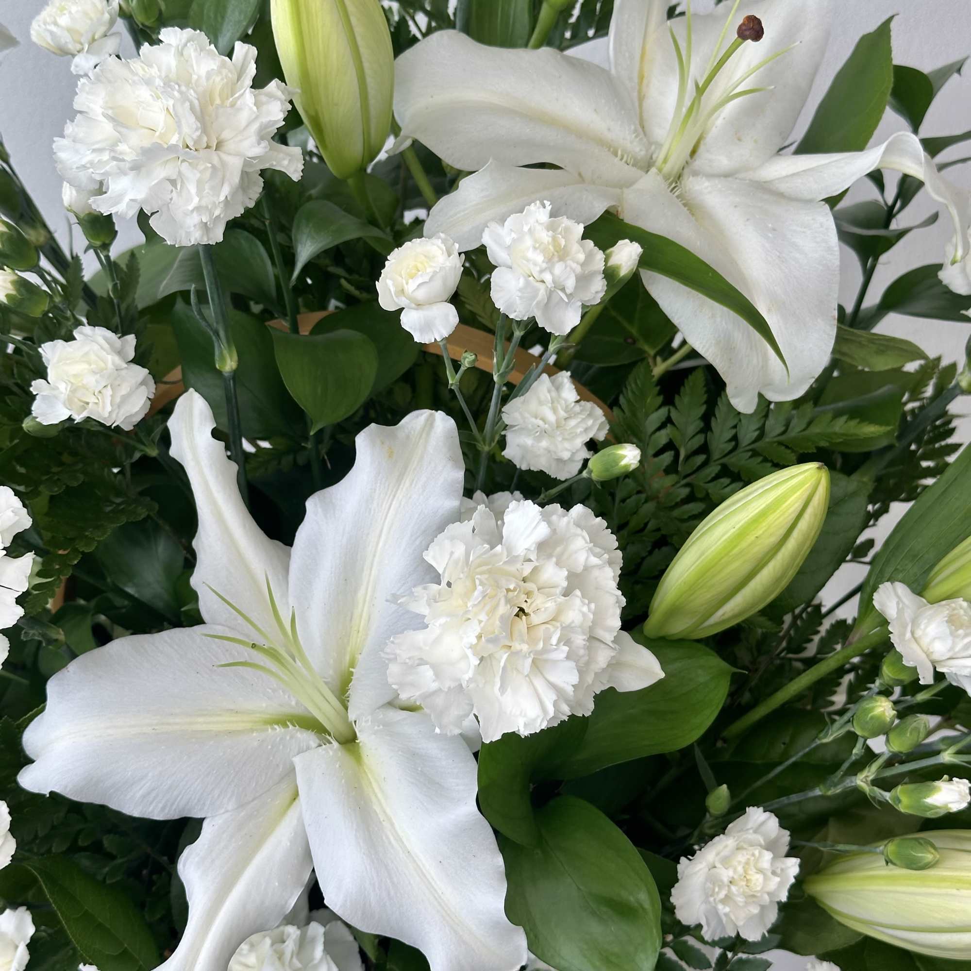Elevate any moment with the serene elegance of our Peaceful White Lilies, photo 2 of 2