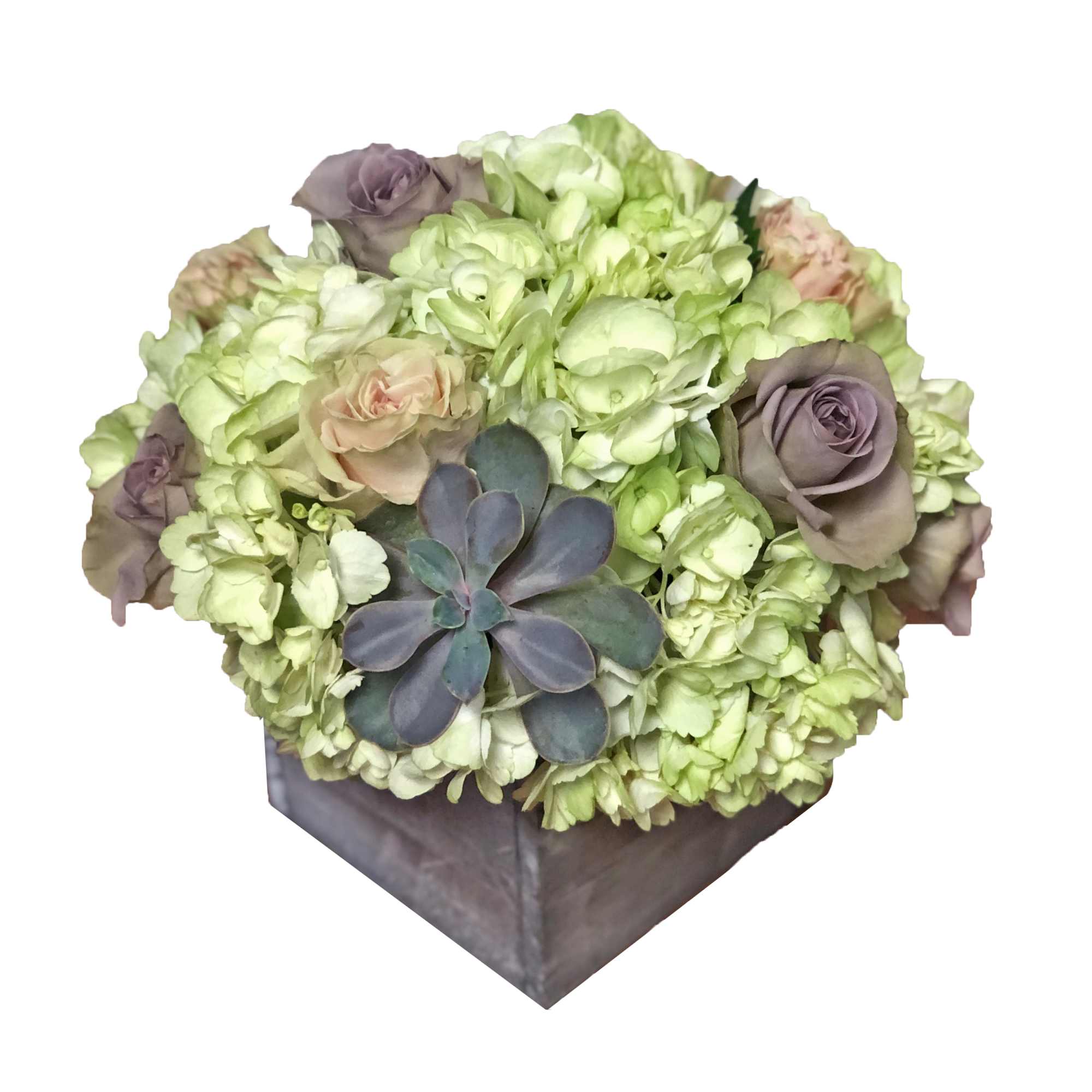 This vintage style arrangement contains roses, hydrangea, and a succulent. It is