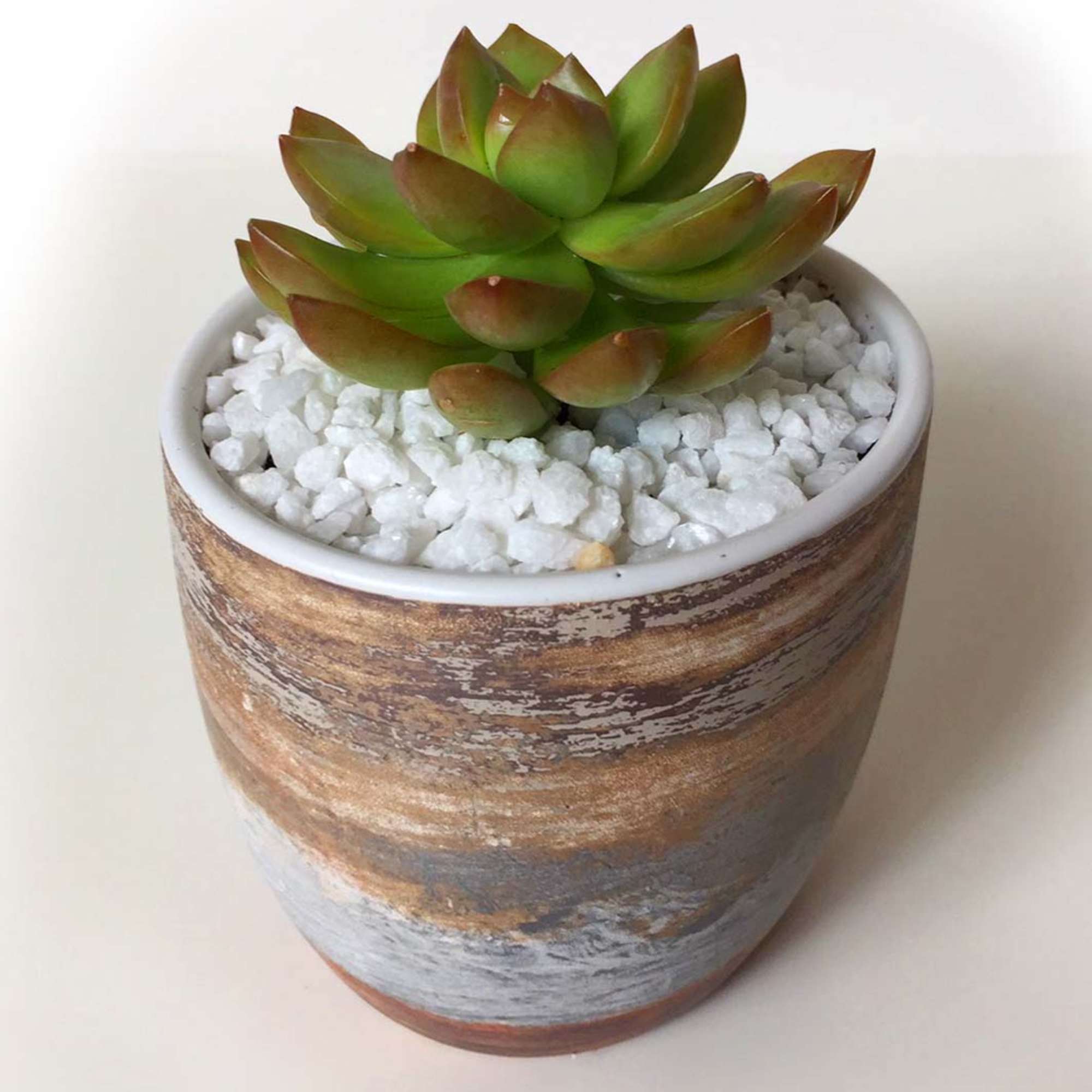 Potted succulent in a rustic ceramic planter with white stones
