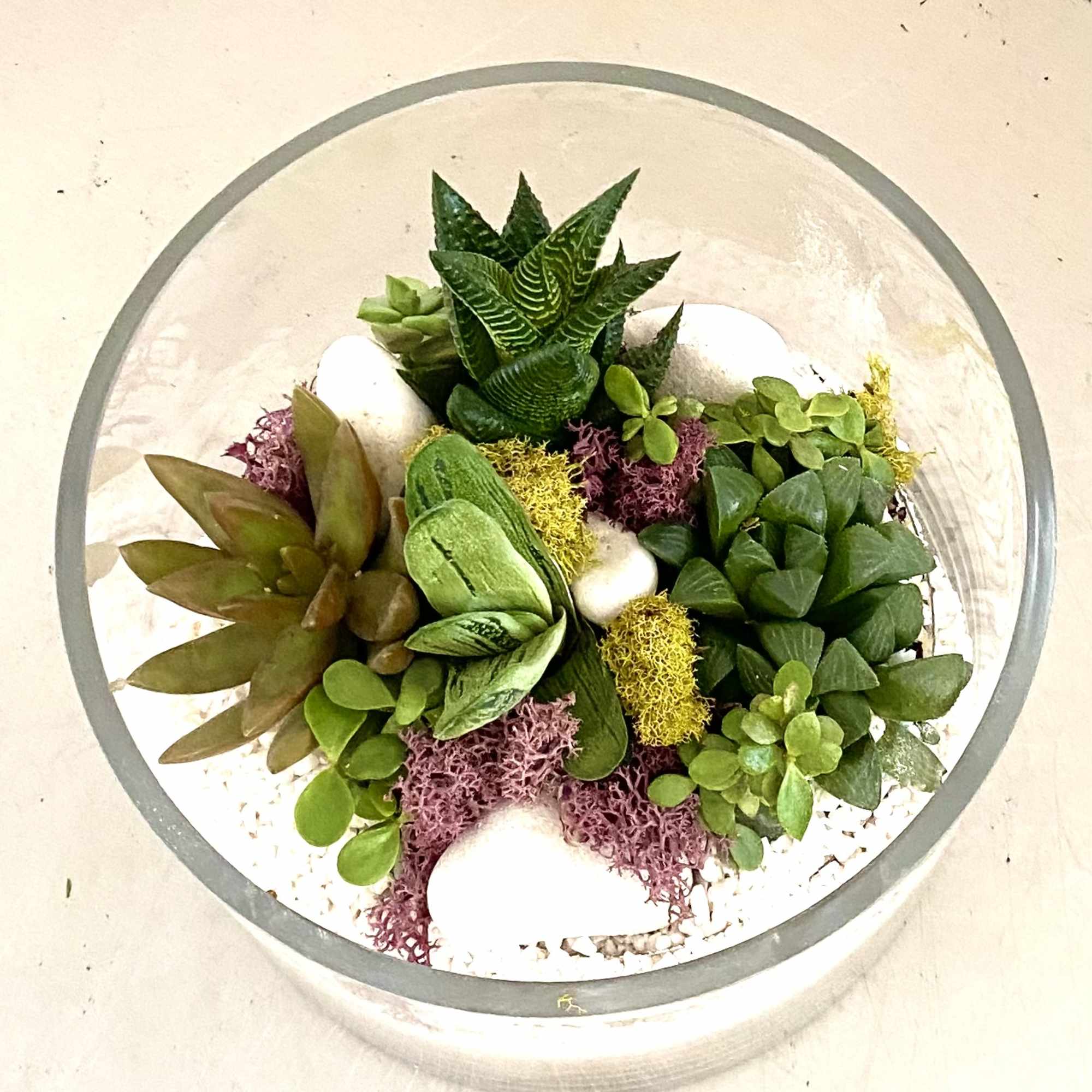 Succulent arrangement in a round glass bowl with white stones