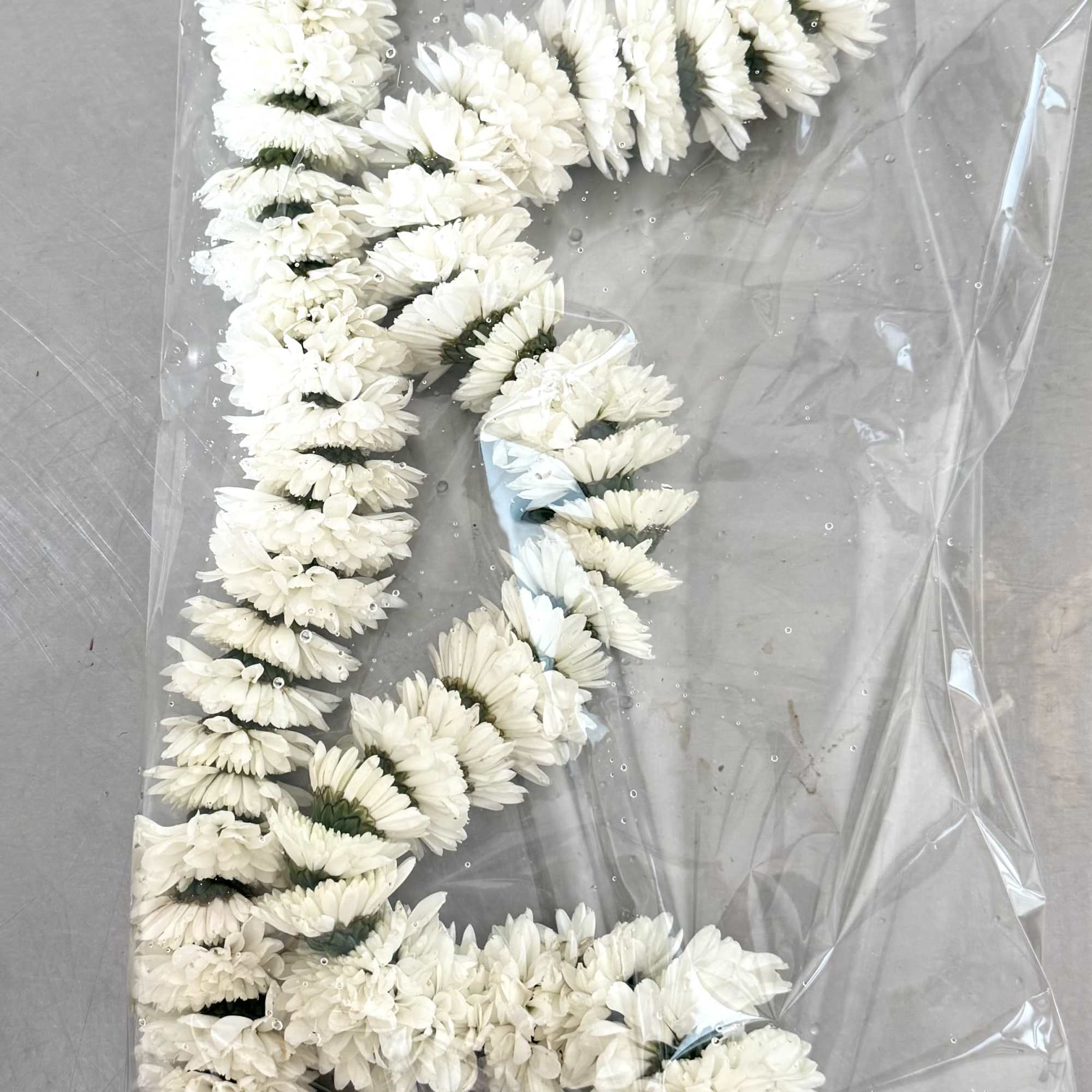 A full, rounded lei handcrafted with alternating sections of fresh white and, photo 5 of 5