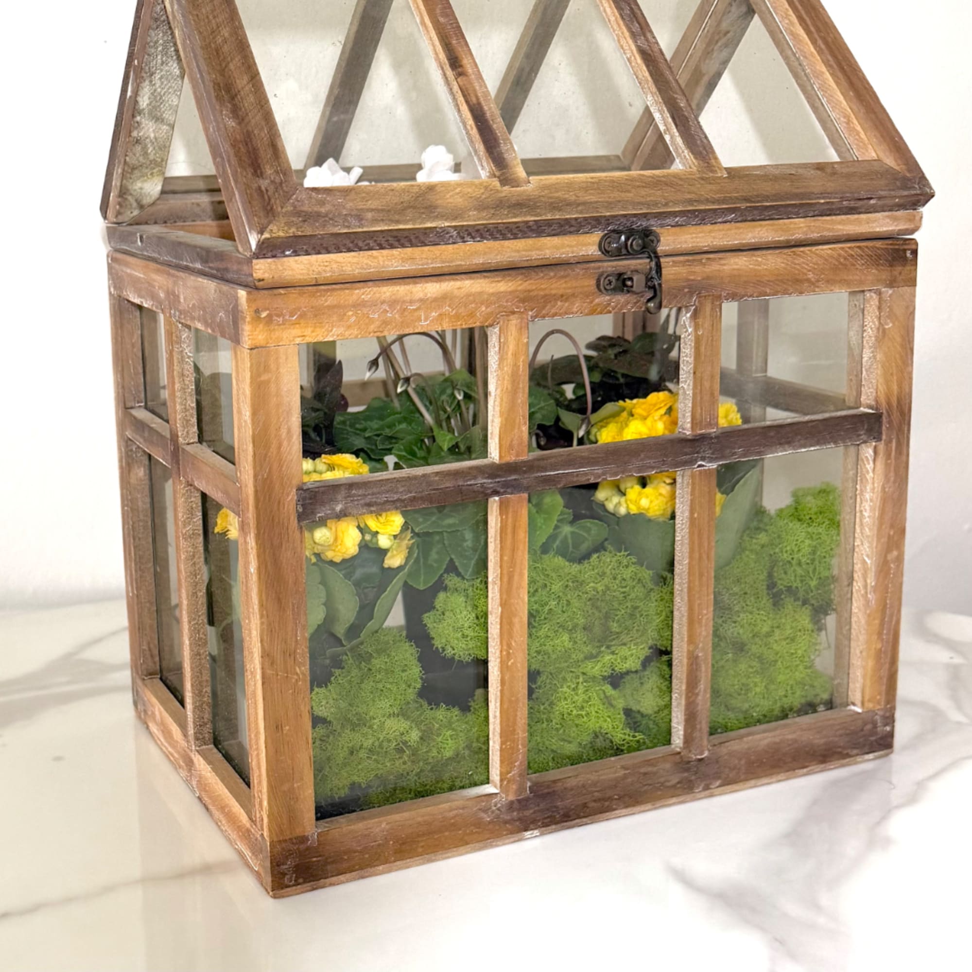 Yellow flowers in a wooden glass terrarium box