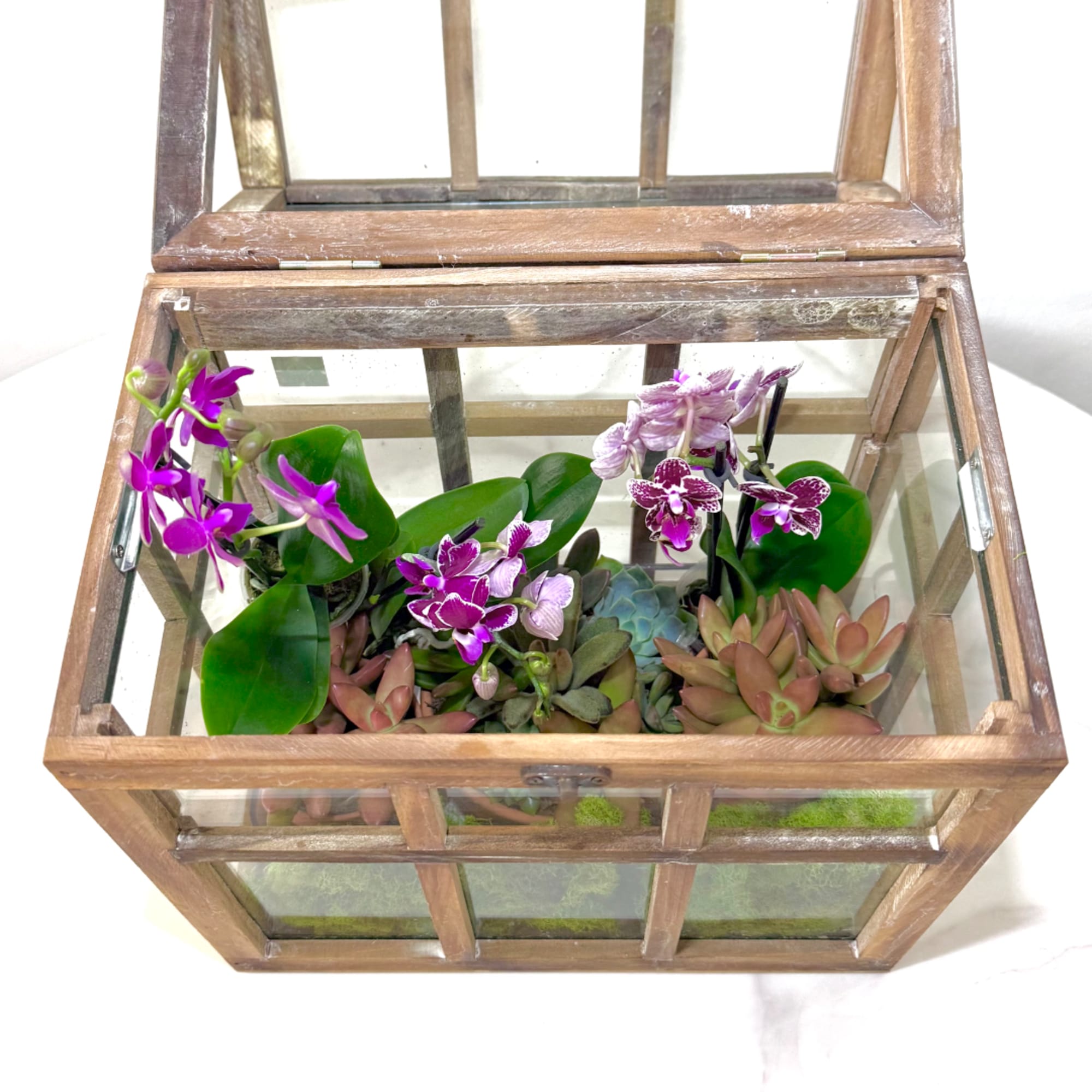 Succulents and purple orchids arranged inside a wooden glass terrarium.
