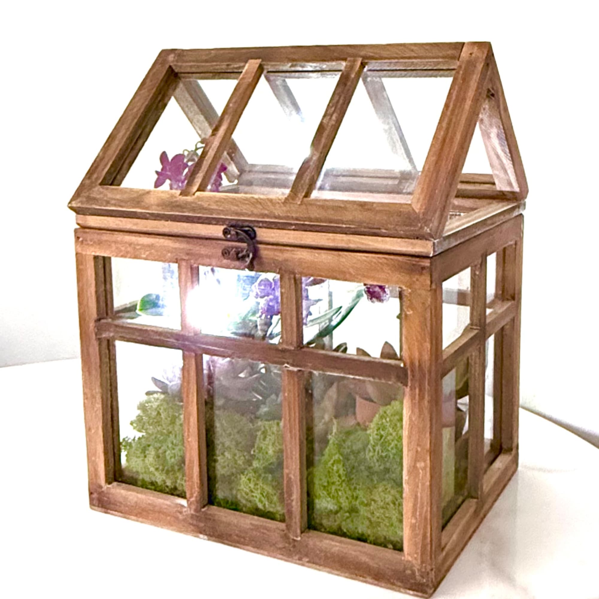 Wooden glass terrarium with small purple flowers and moss inside
