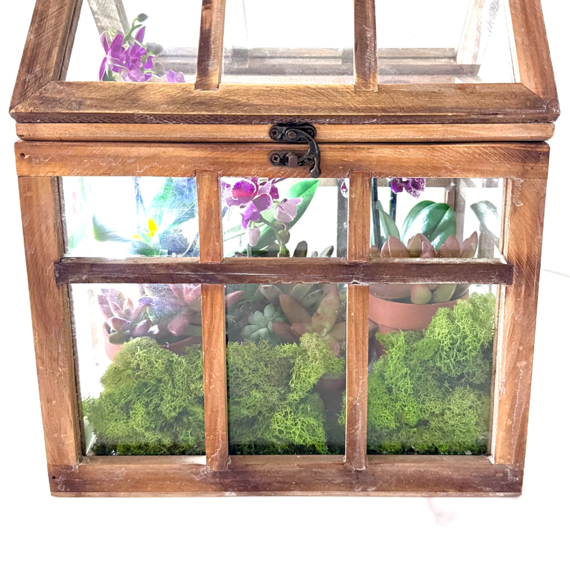 Wooden glass terrarium with purple orchids and green succulents