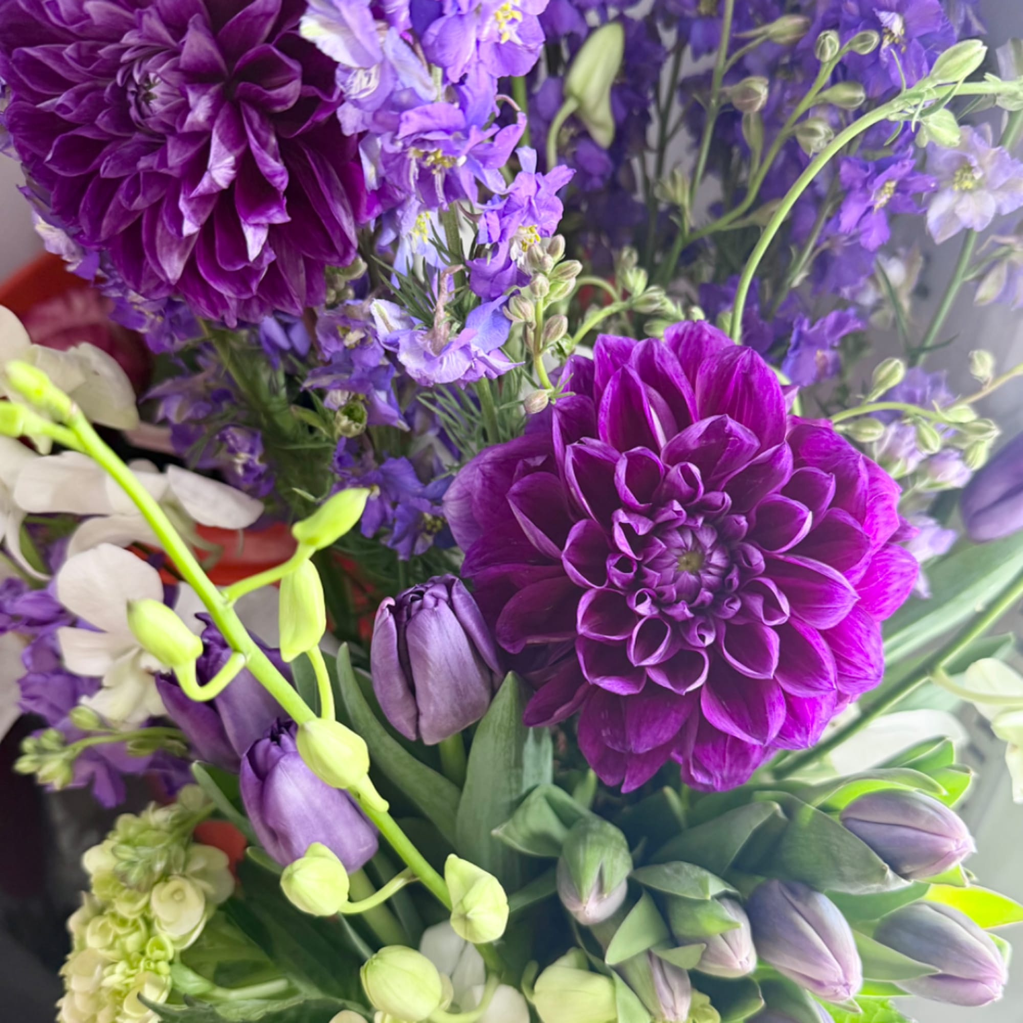 Purple dahlias and lavender tulips in a mixed bouquet