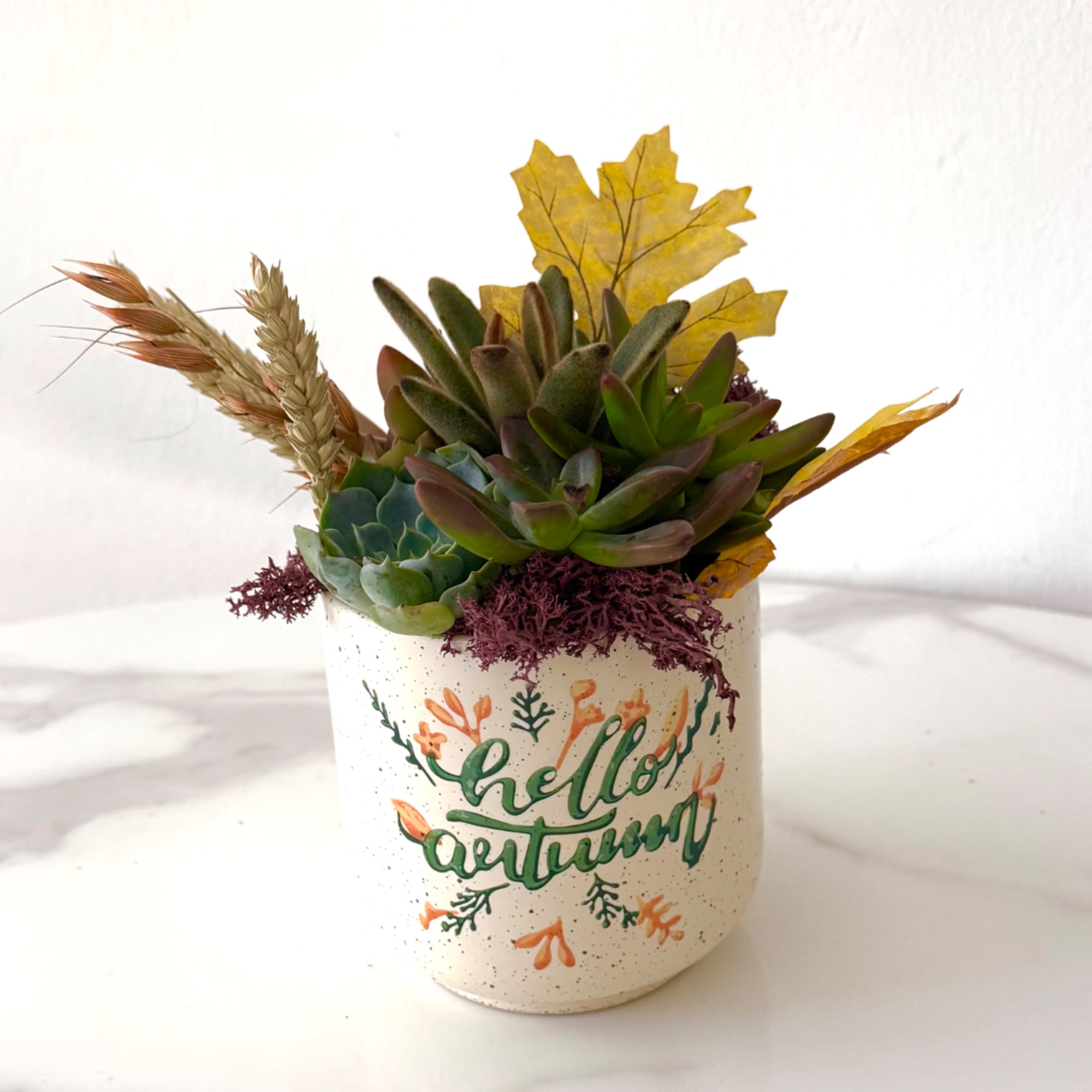 Succulent arrangement in a white speckled pot with autumn lettering