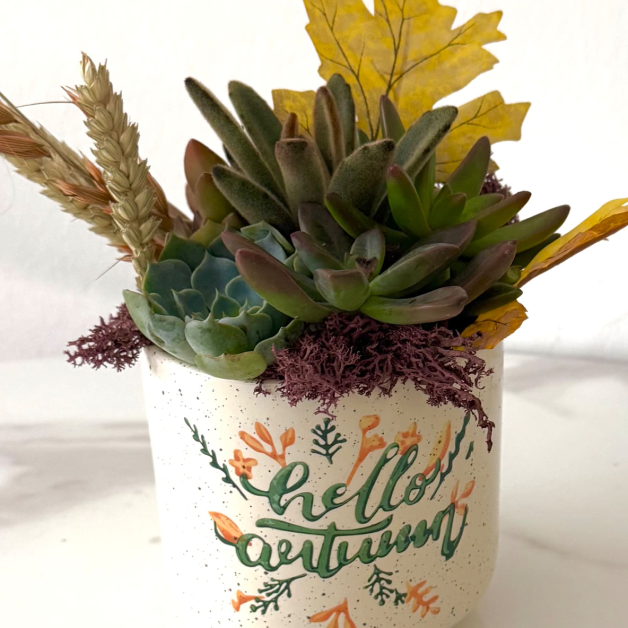 Succulent arrangement in a speckled pot with "Hello Autumn" lettering