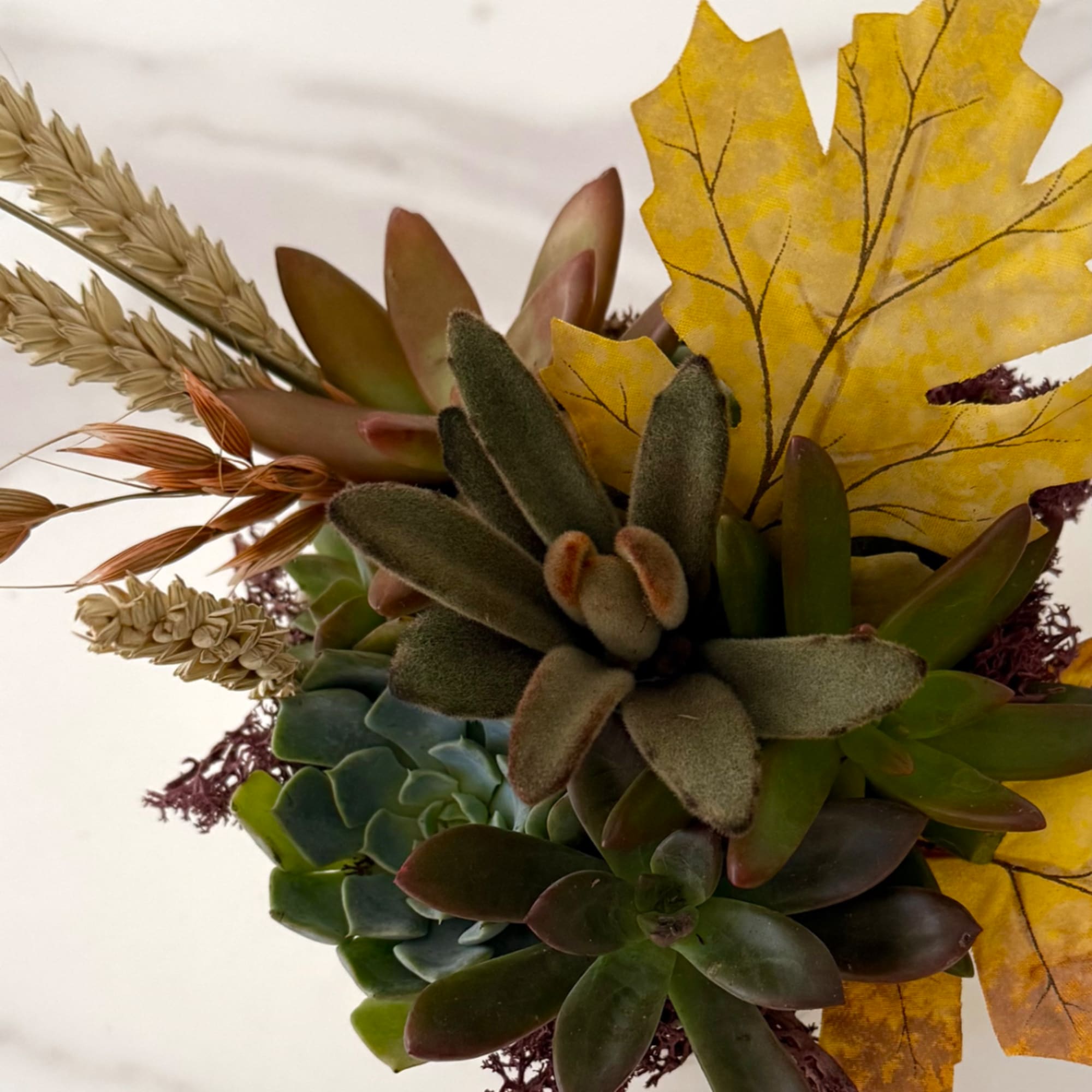 Succulent arrangement with dried wheat and yellow leaf accents