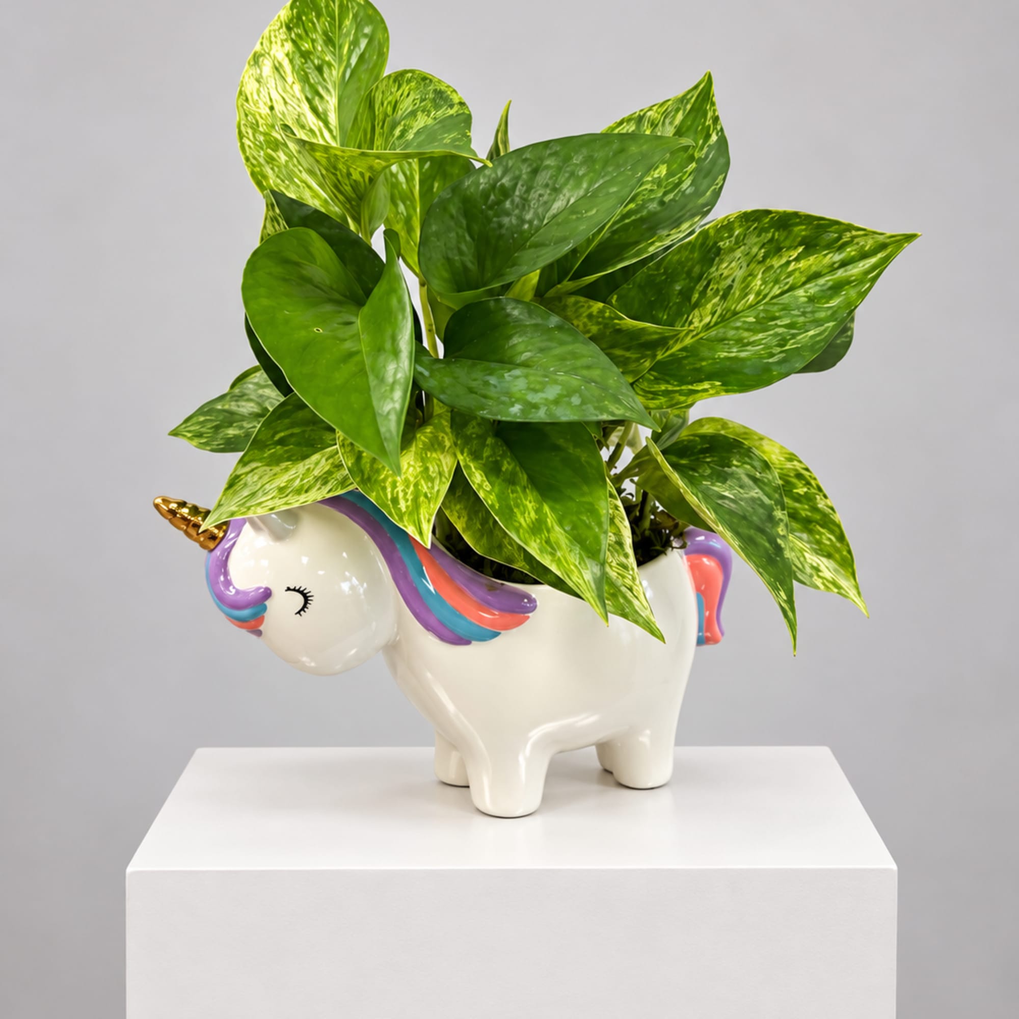 Potted green plant in a unicorn-shaped ceramic planter