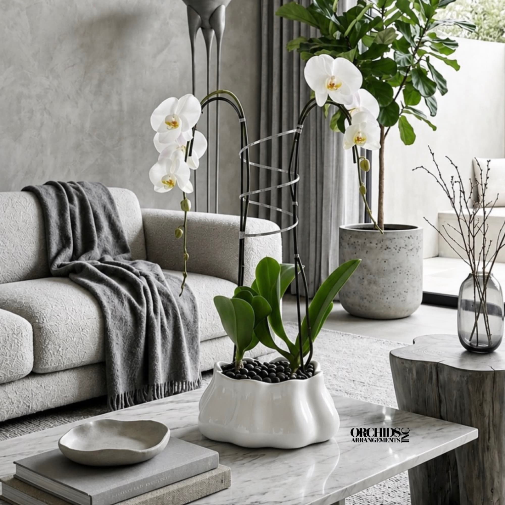 White orchid plant in a white ceramic pot on a coffee table