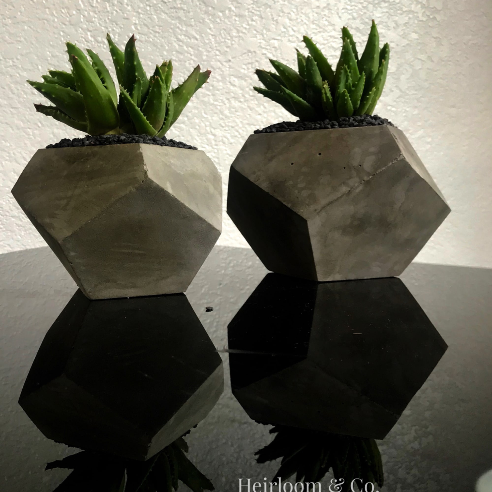 Two small succulent plants in geometric concrete pots