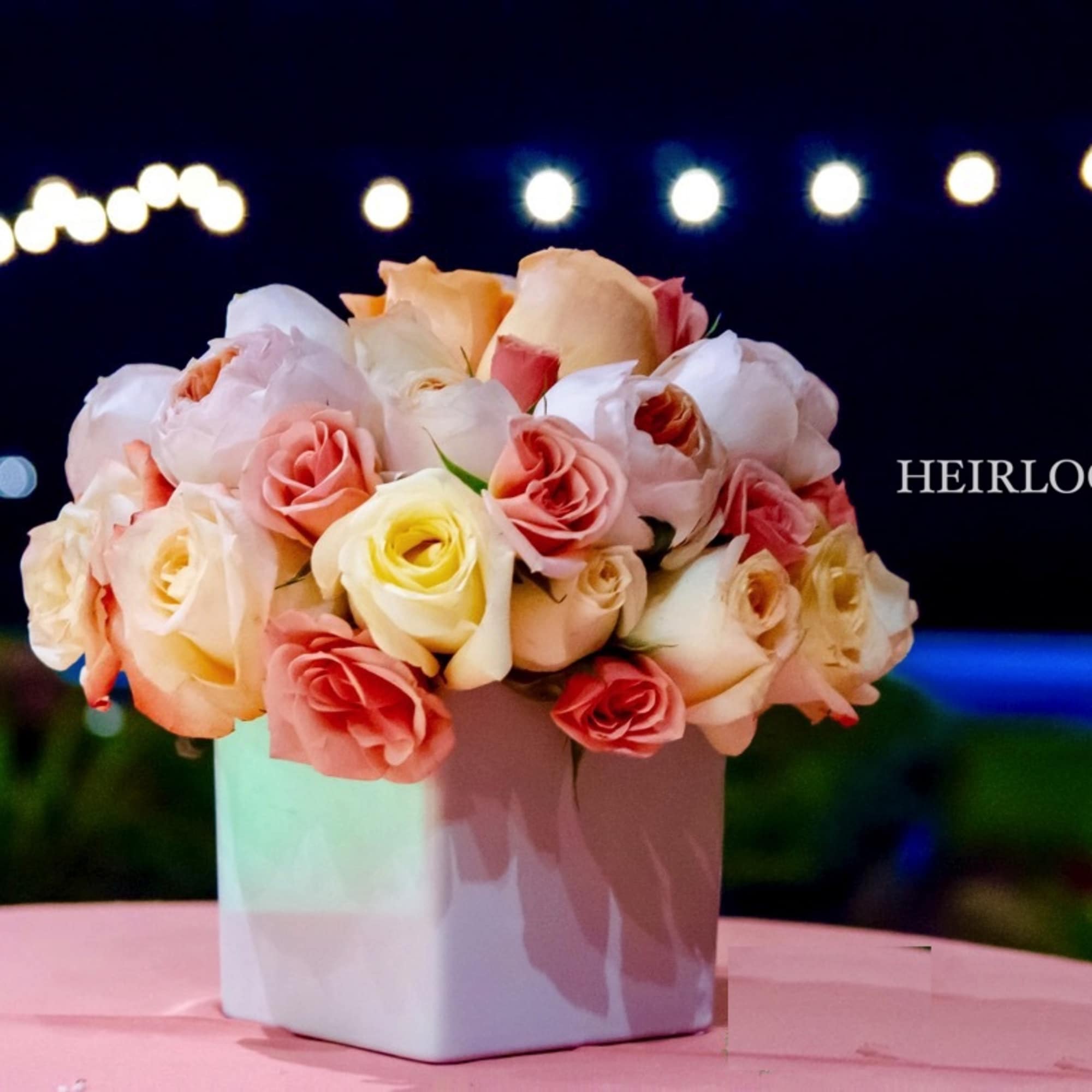 Pink and cream roses arranged in a white square vase