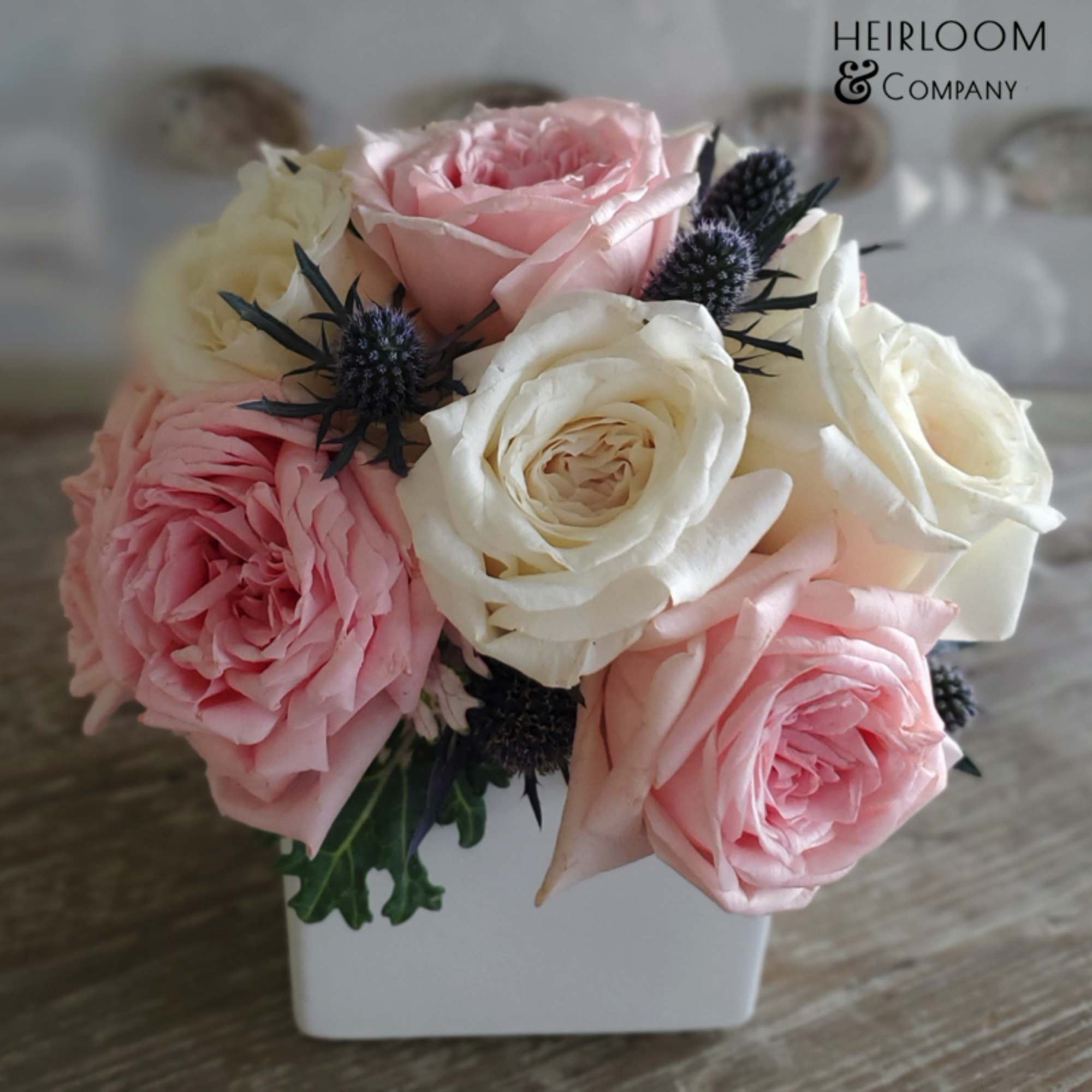 Pink and white roses in a white square vase