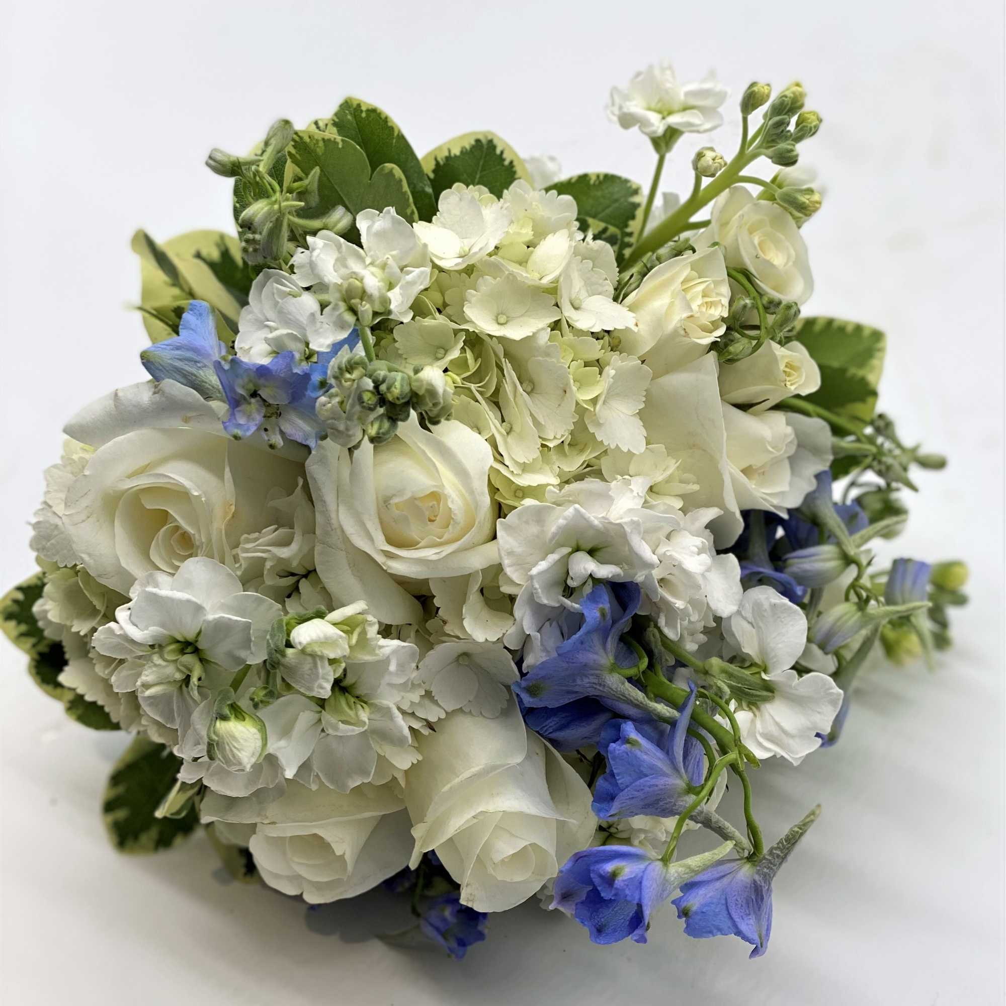 White mix with light blue accents!, photo 3 of 3