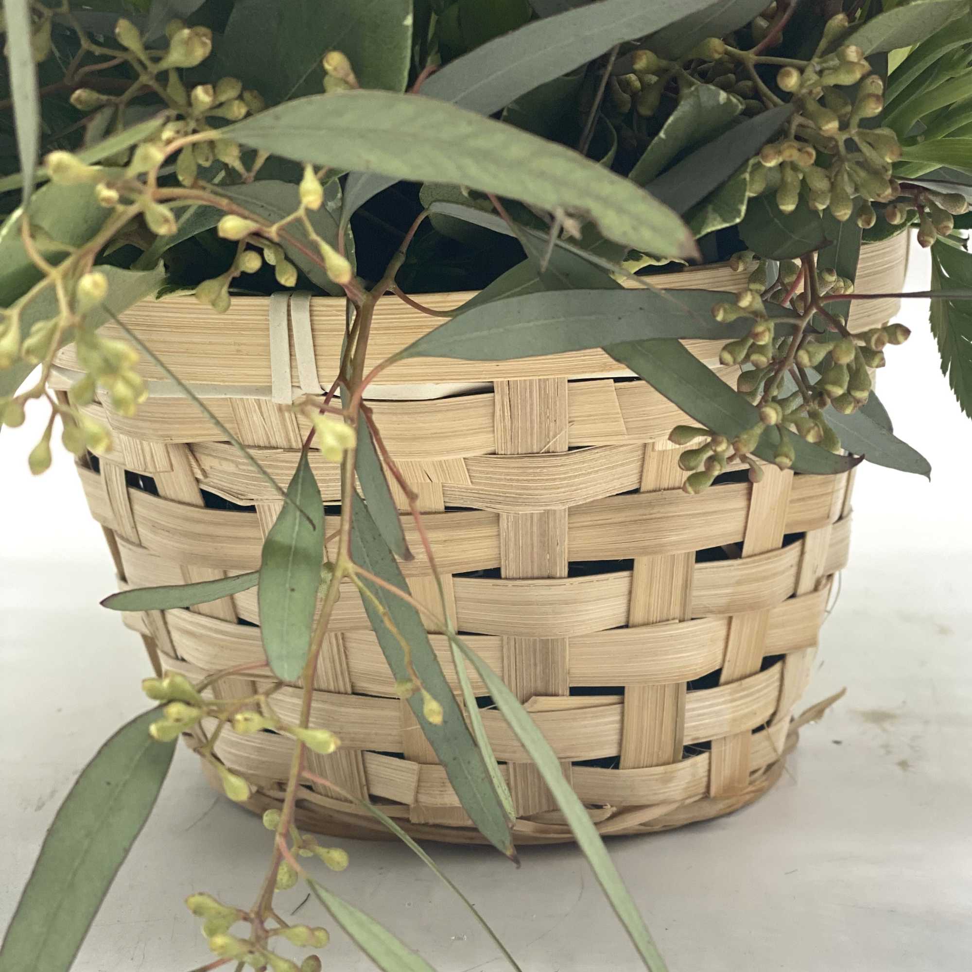 Basket planter with eucalyptus foliage and buds