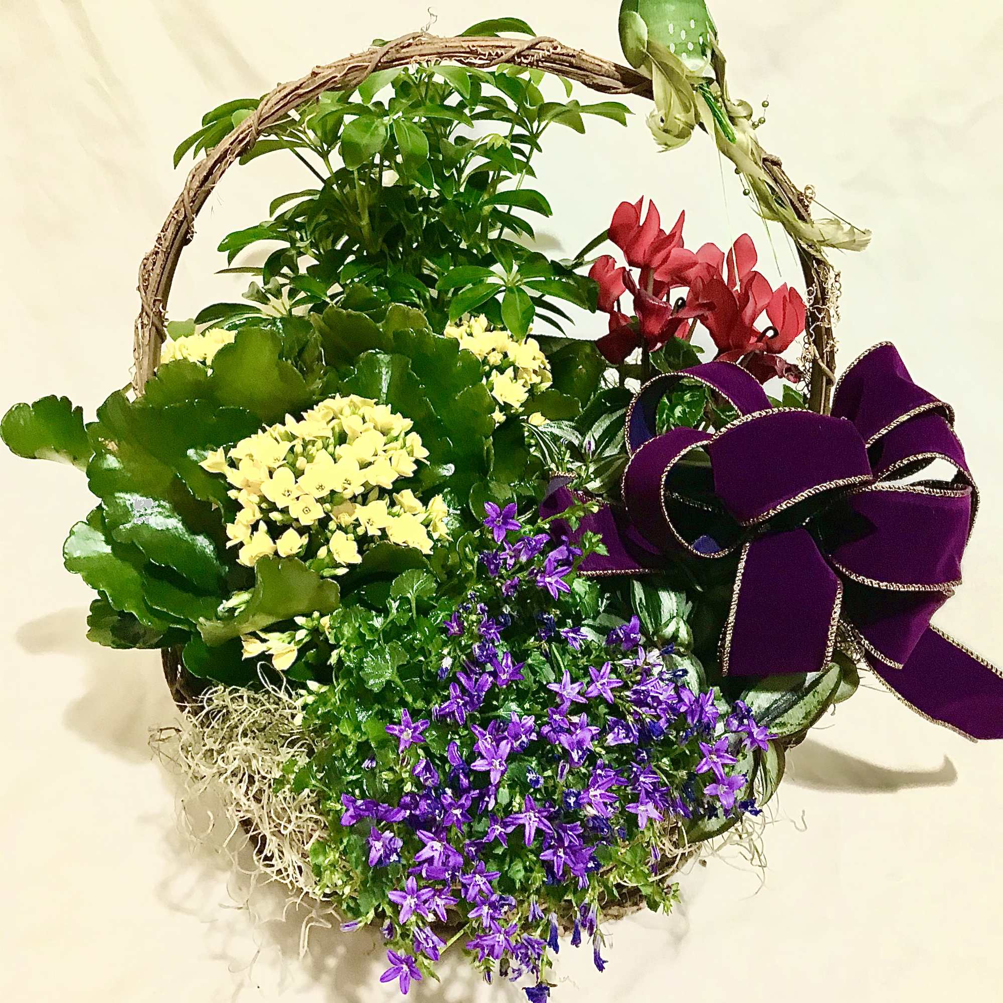 Basket garden of mixed green plants with yellow, red, and purple flowers, a purple bow, and a small green bird decoration.