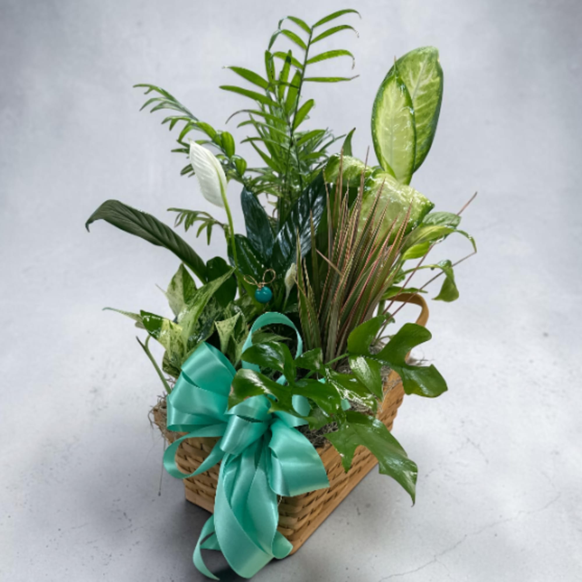 For any occasion, this elegant premium plant basket is thoughtfully arranged with